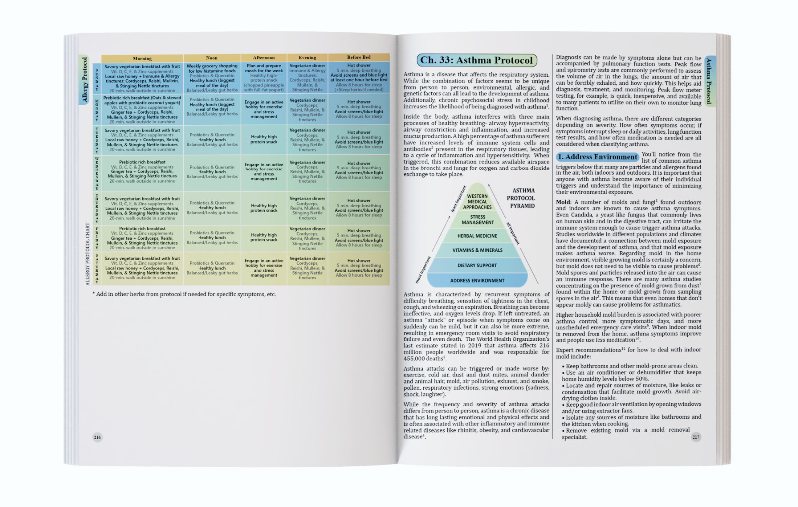 The Holistic Guide to Wellness (paperback with color pictures)
