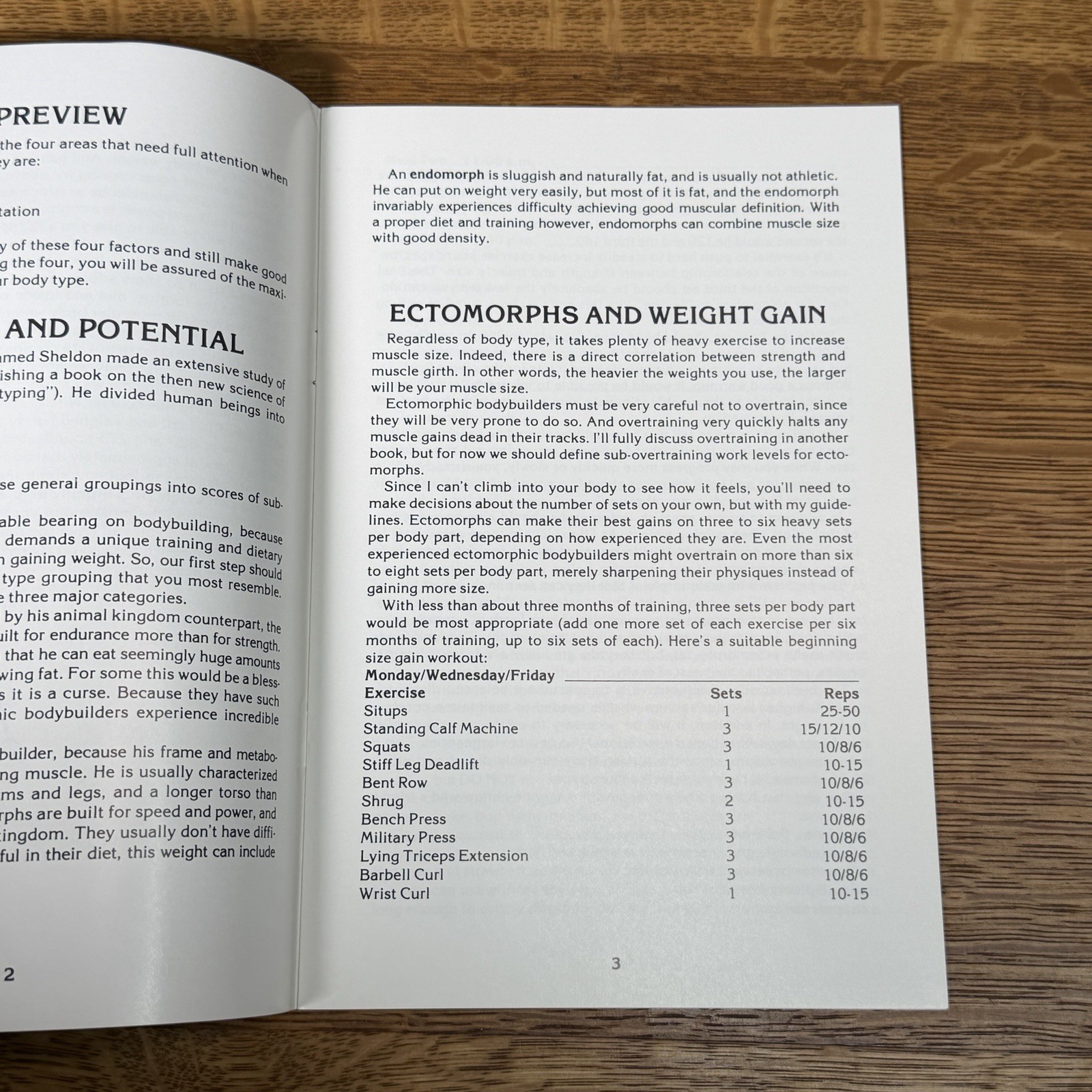 Super Rare Original Lou Ferrigno Muscular Size Power Bodybuilding Booklet Book