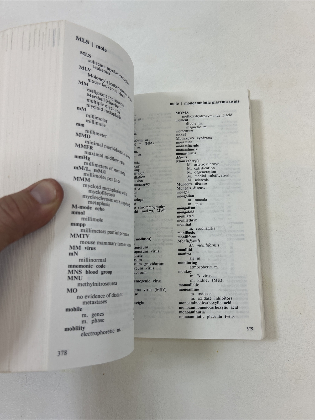 Stedman&rsquo;s Pathology and Lab Medicine Words – Stedman (1992, Paperback)