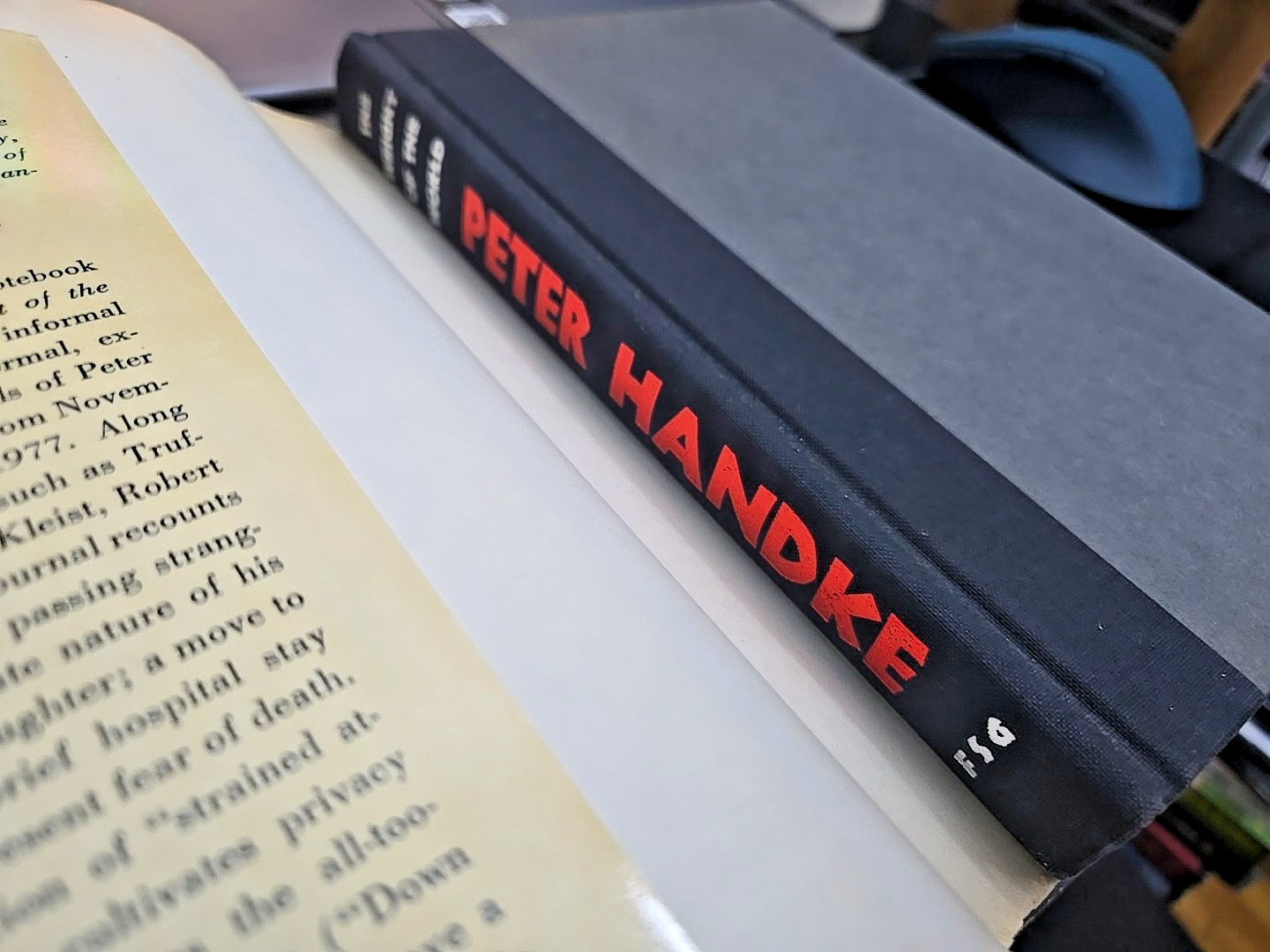 Peter Handke / THE WEIGHT OF THE WORLD 1st US Edition (1984)