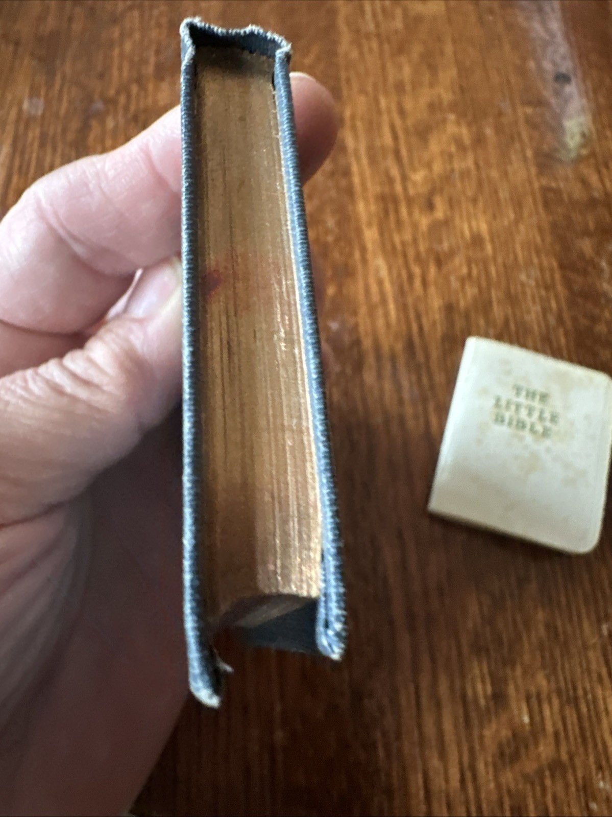 Antique Mini Books Daily Food For Christians, The Little Bible, Christmas Storie