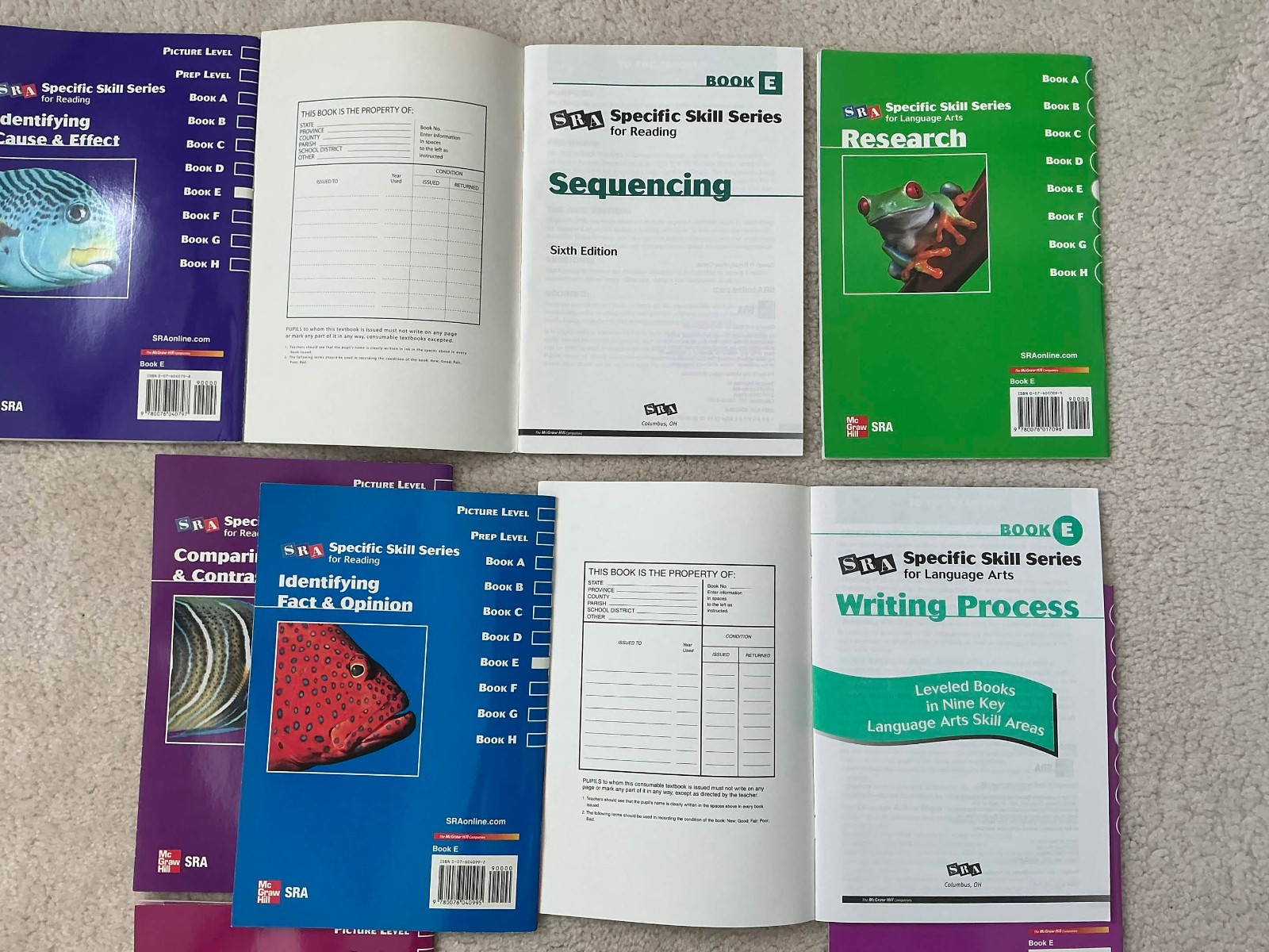 SRA Specific Skill Series Level E Mix Set Of 10