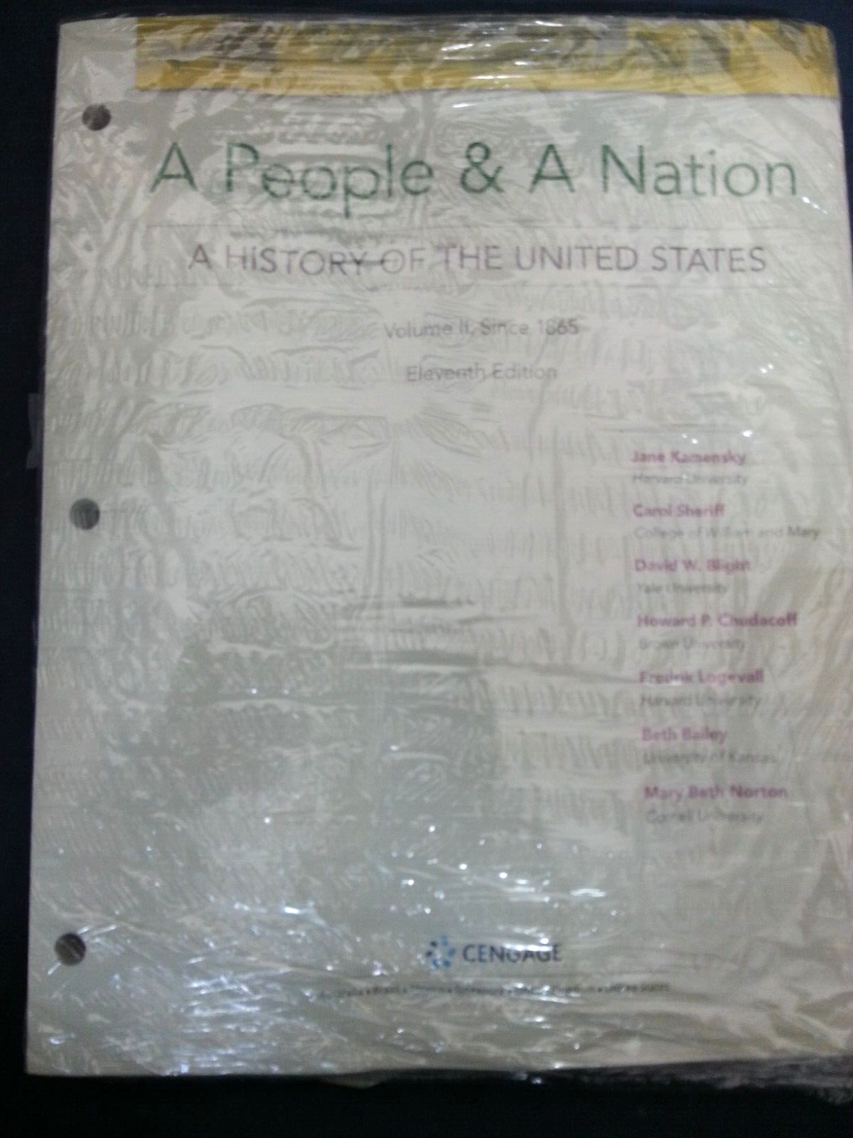 People and a Nation Vol. II: Since 1865 Kamensky Cengage 2018 SC LN 250213