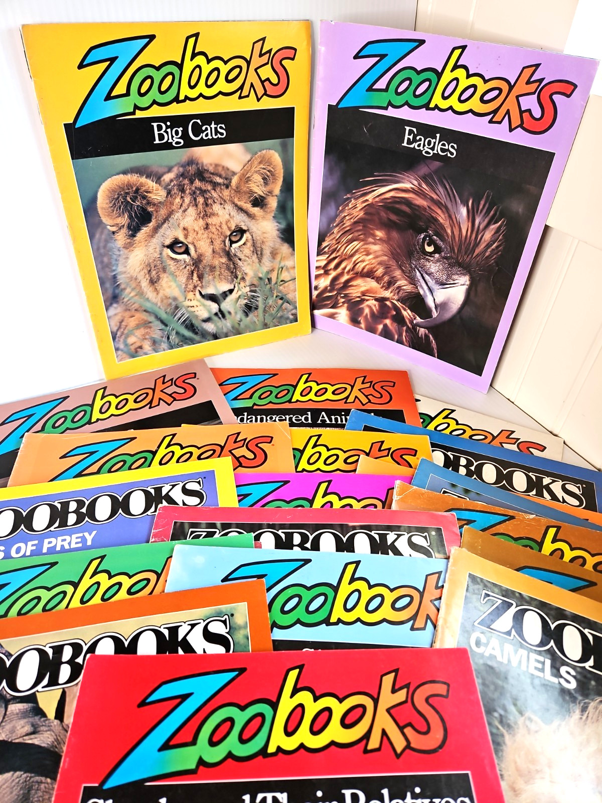 Vintage Zoobooks Magazine Lot of 34 Issues Books 1990s Animals Homeschool Nature