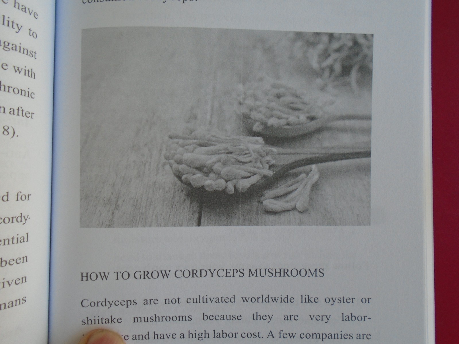 The Bible of Medicinal Mushrooms by J.P. Rae, 2022 1st Edition, 205 Pages