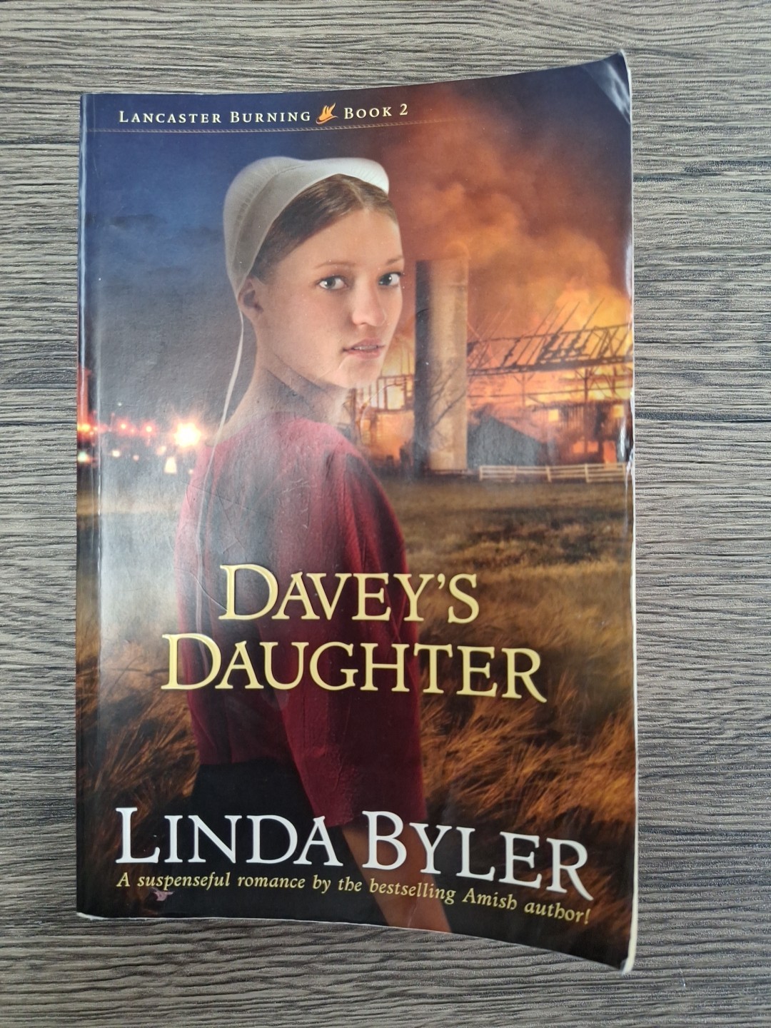 Davey&rsquo;s Daughter By Linda Byler softcover book in good condition