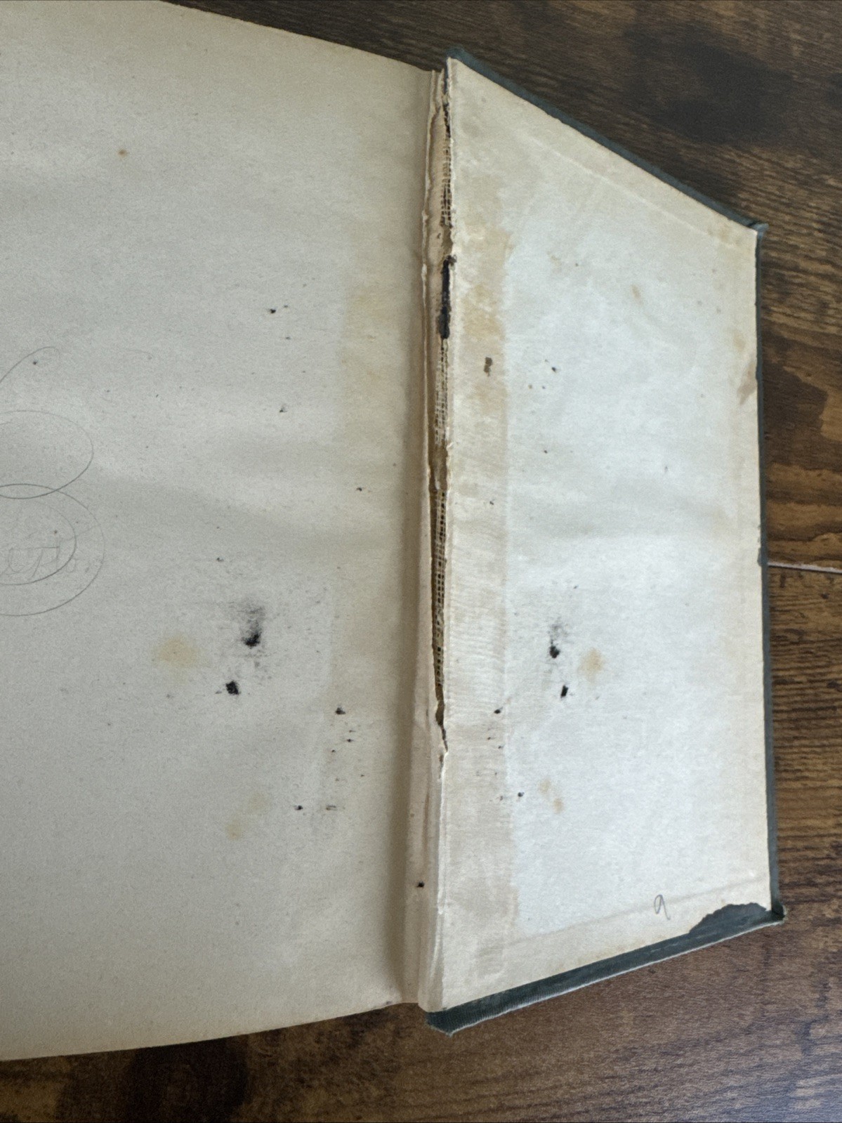 The Tragedies of Sophocles in English Prose,Harper & Brothers