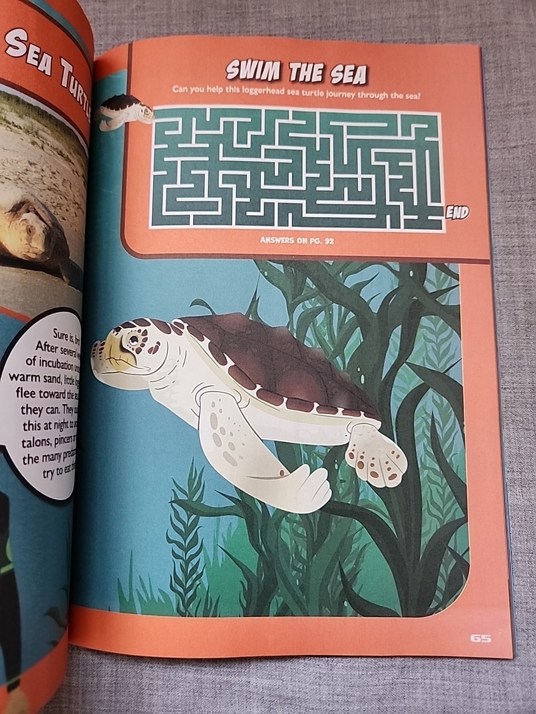 Wild Kratts Magazine Dec 2025 Rockin’ Reptiles