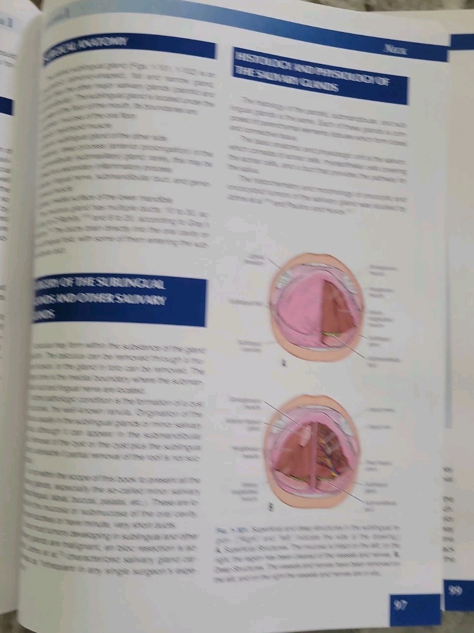 Skandalakis&rsquo; Surgical Anatomy: The Embryologic and Anatomic Basis 1st & 2nd Vol