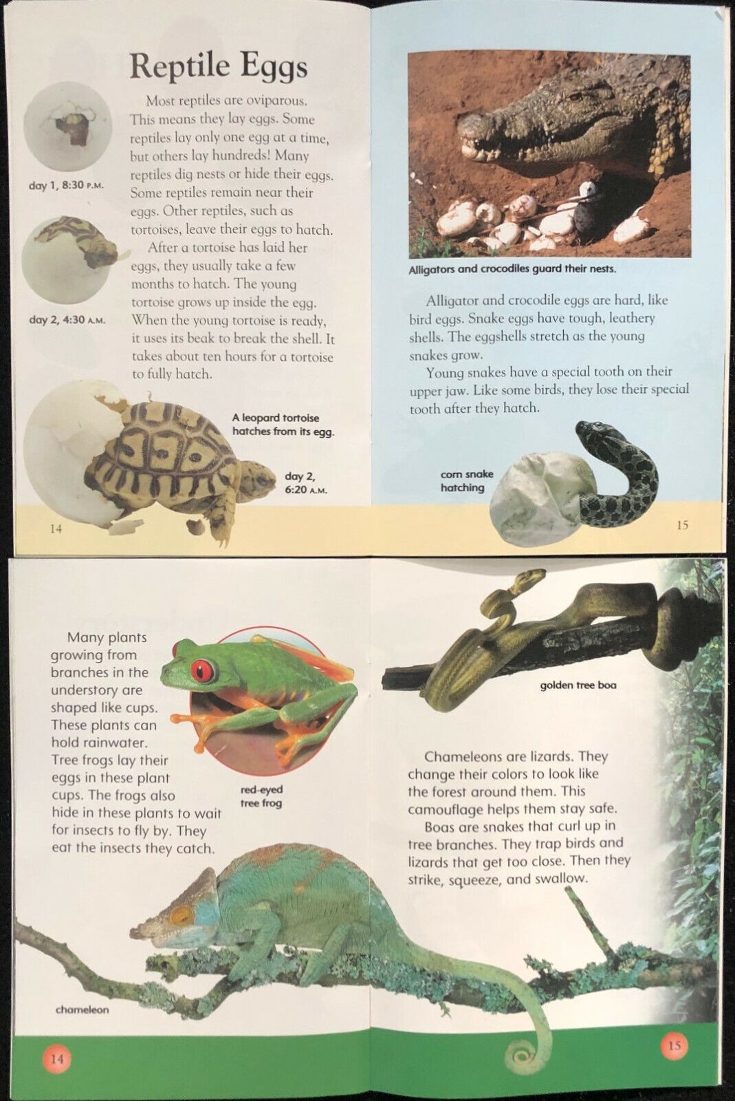 2nd Grade LIFE SCIENCE Curriculum Readers (12 books) Teachers/Homeschool/Tutors