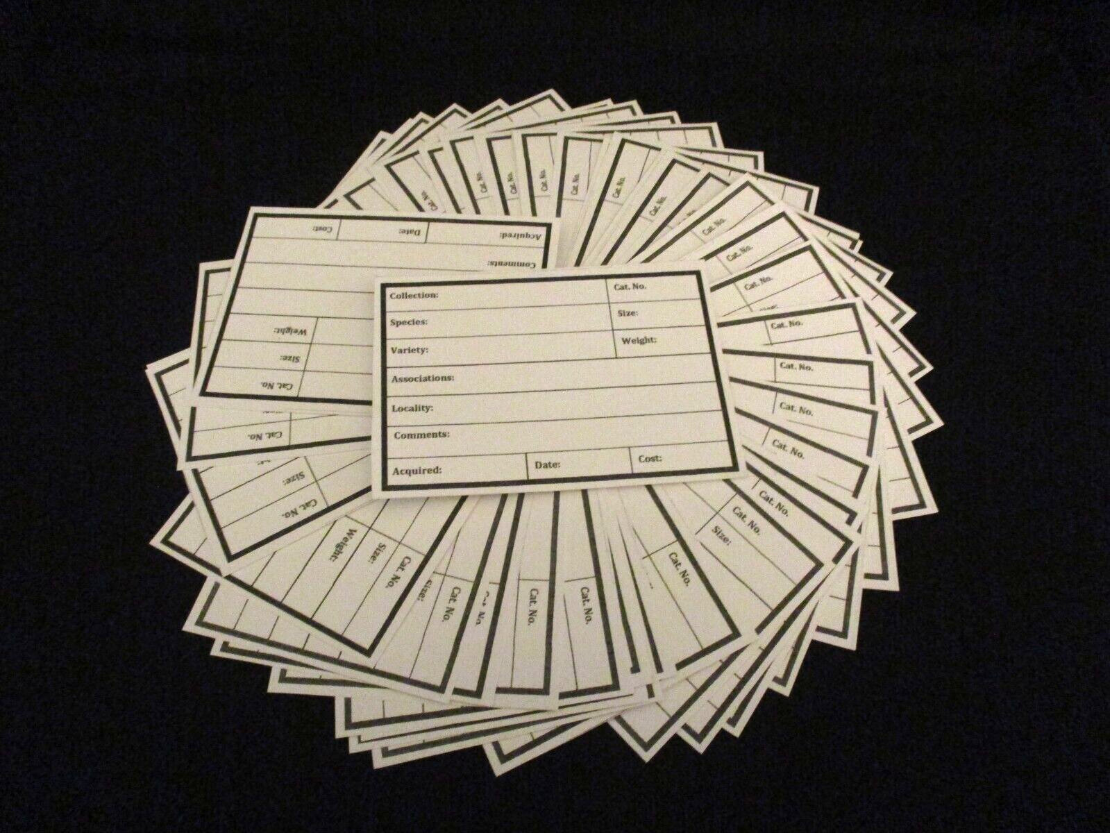 50 – White Specimen Catalog Cards E4290