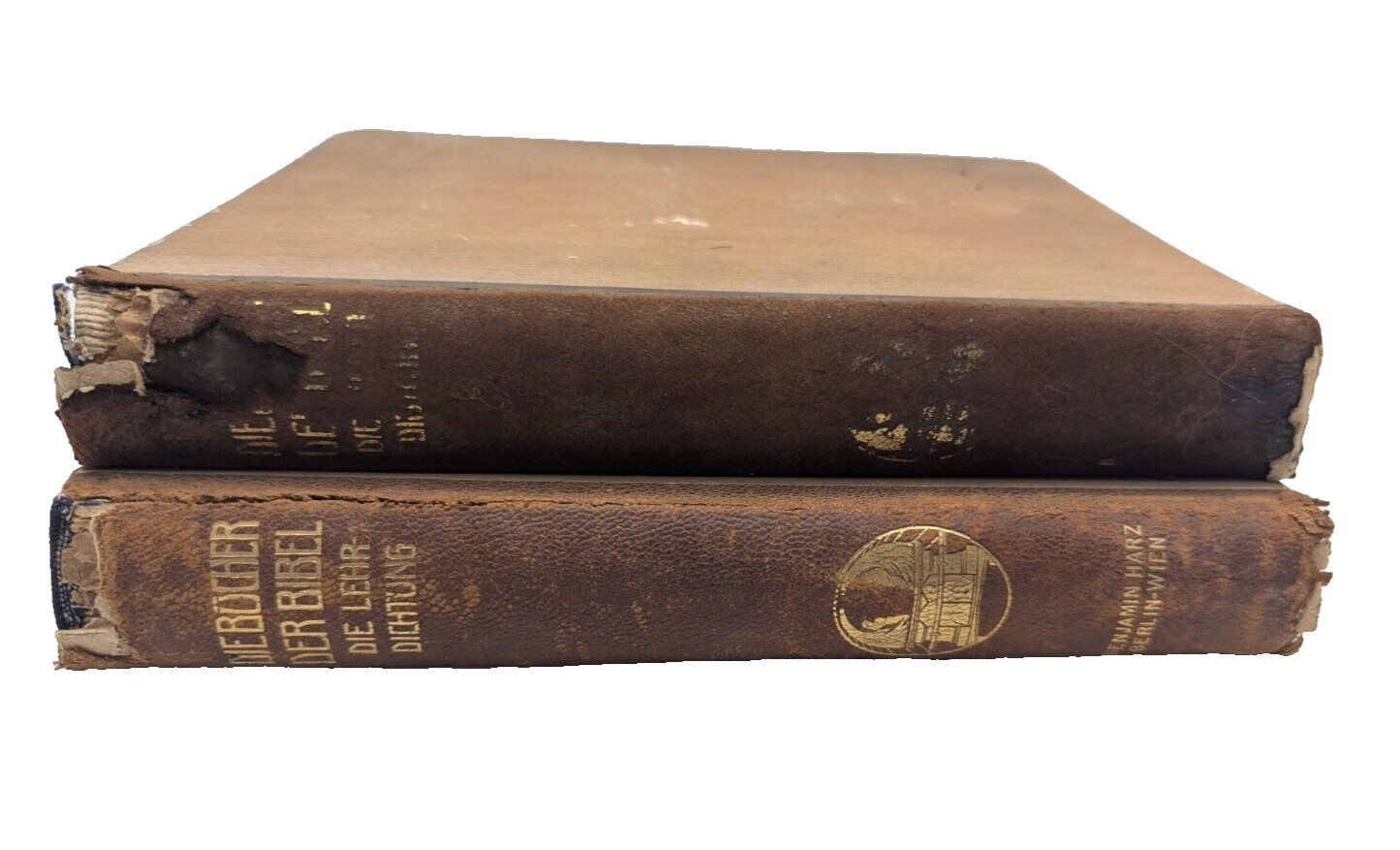 Die Bucher der Bibel 1923 illustrated EM Lilien Judaica Jugendstil 2 Book Set