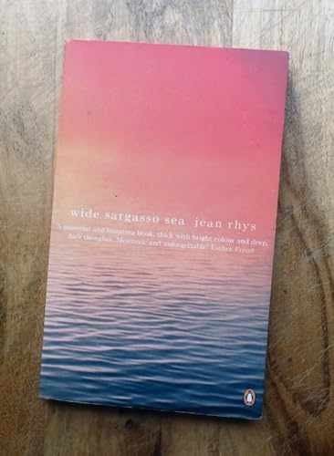 Wide Sargasso Sea – Paperback, by Jean Rhys – Acceptable