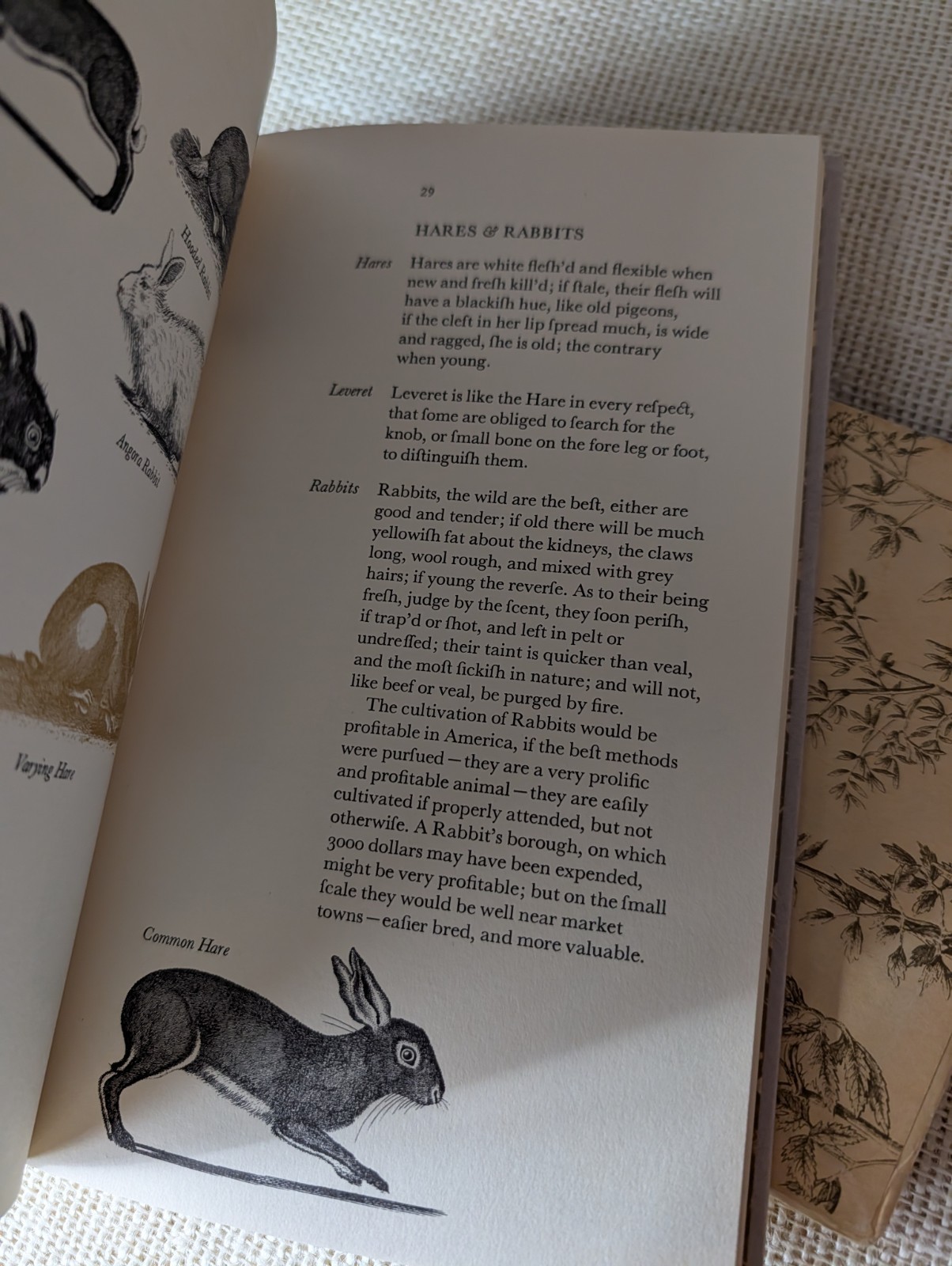 American Cookery by Amelia Simmons, 1963 Limited Edition Facsimile of 1796 Ed.