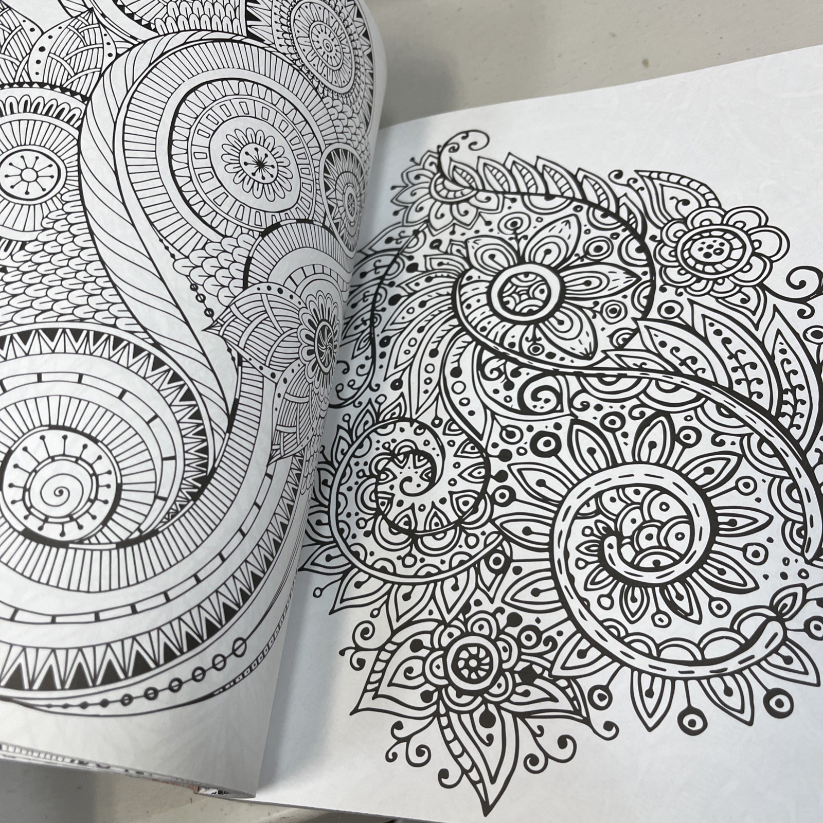 Adult Coloring for Creativity Book 288 Pages New Copyright 2015
