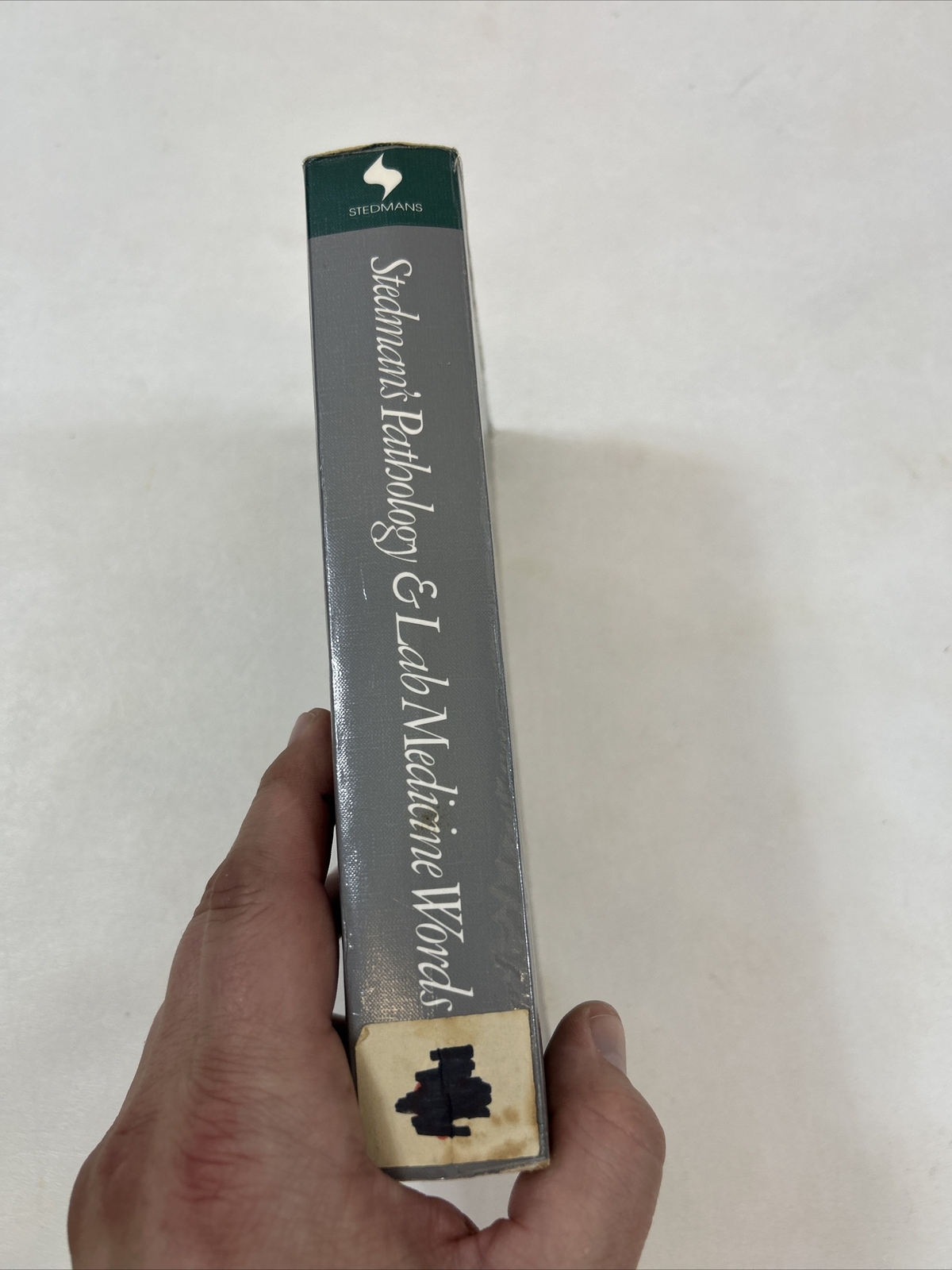 Stedman&rsquo;s Pathology and Lab Medicine Words – Stedman (1992, Paperback)