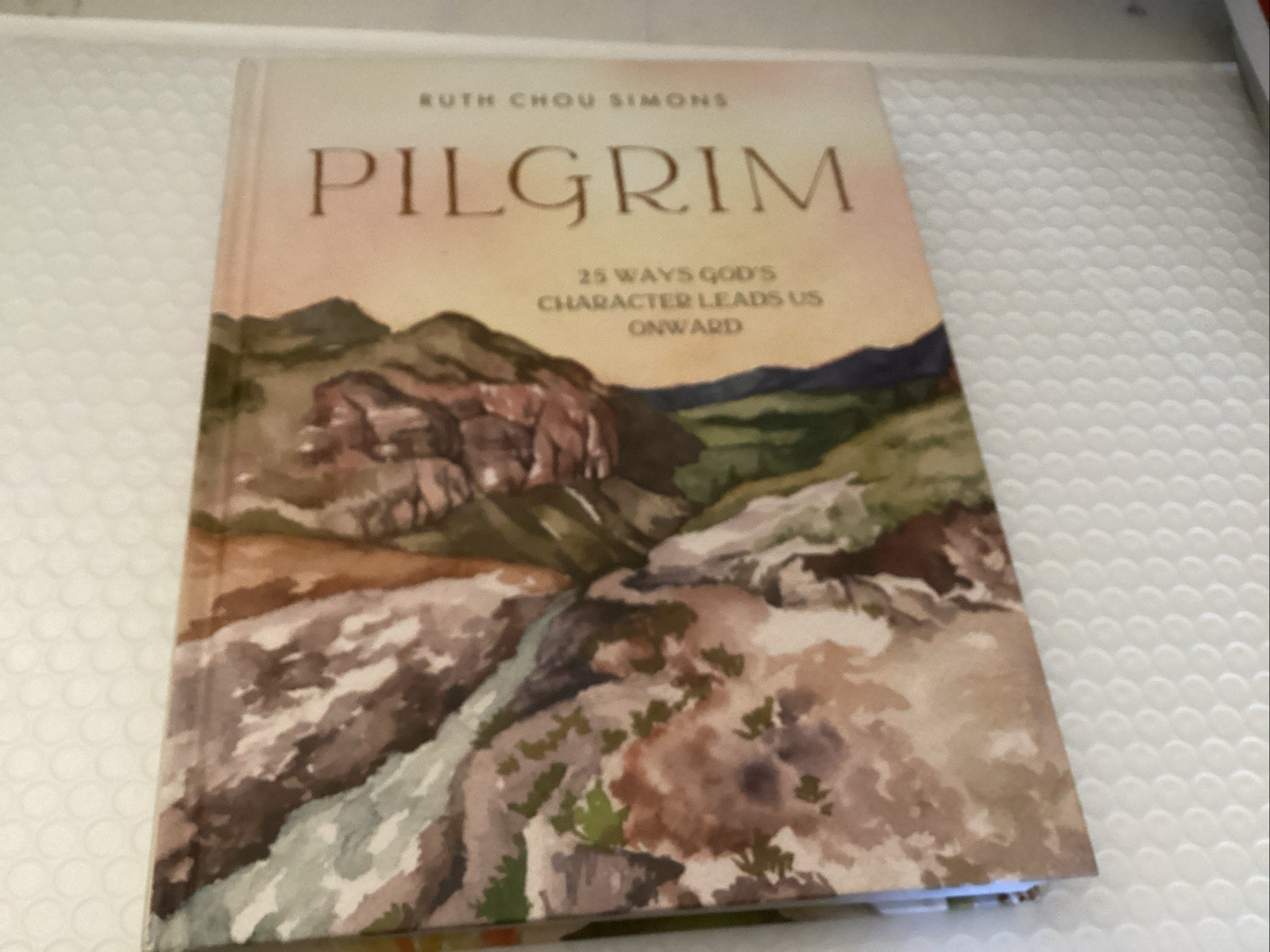 Pilgrim: 25 Ways God&rsquo;s Character Leads Us Onward by Ruth Chou Simons