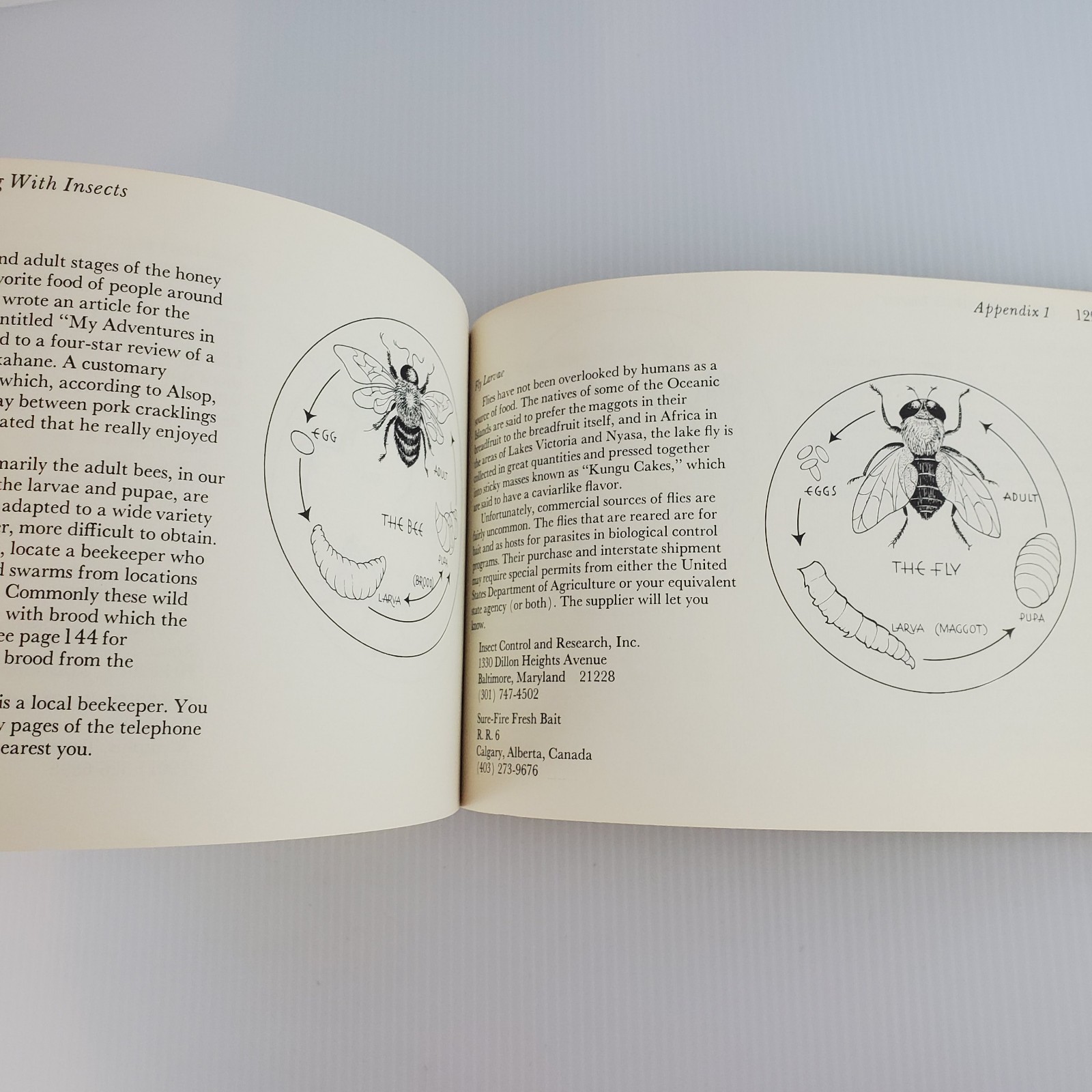 Entertaining with Insects Ronald Taylor Barbara Carter 1976 John Gregory Tweed