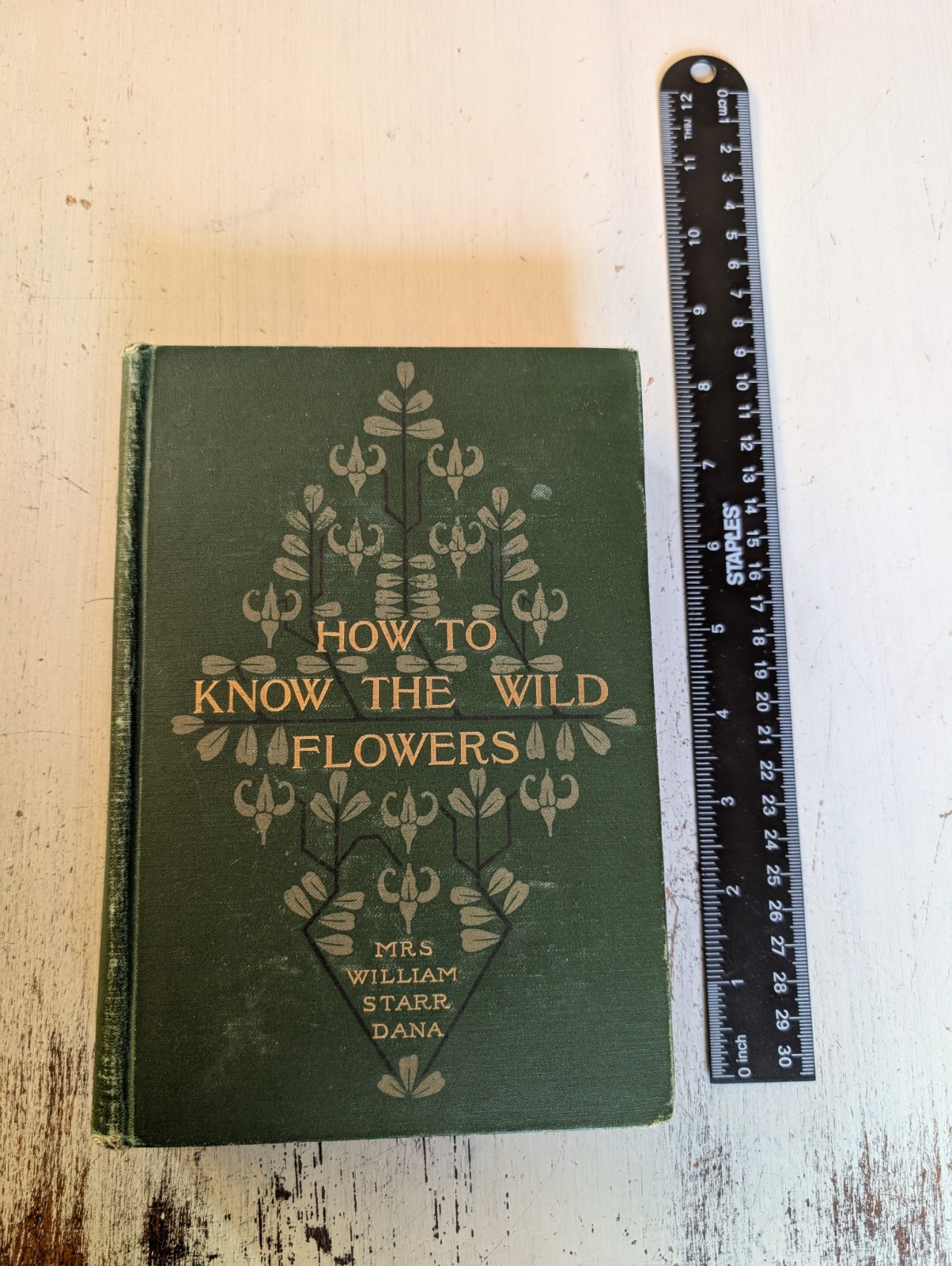 How to Know the Wild Flowers Mrs. William Star Dana 1902 Illustrated Hardcover
