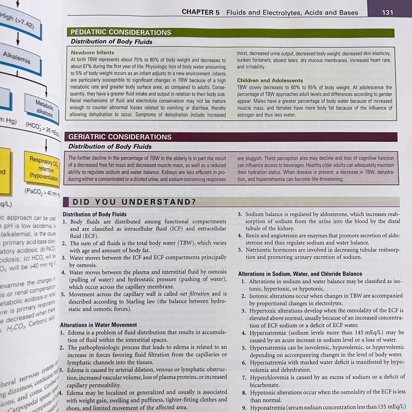 Understanding Pathophysiology Sixth Edition by Kathryn L. McCance Paperback