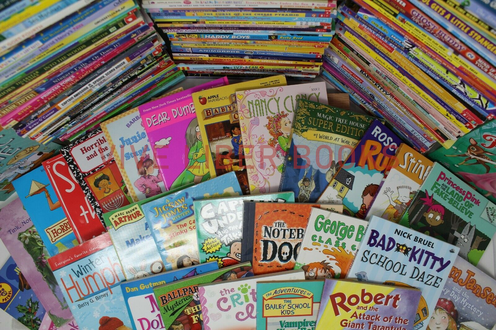 Bulk/Huge Lot of 50 of Children&rsquo;s Kids Chapter Books – Random – Free Shipping!
