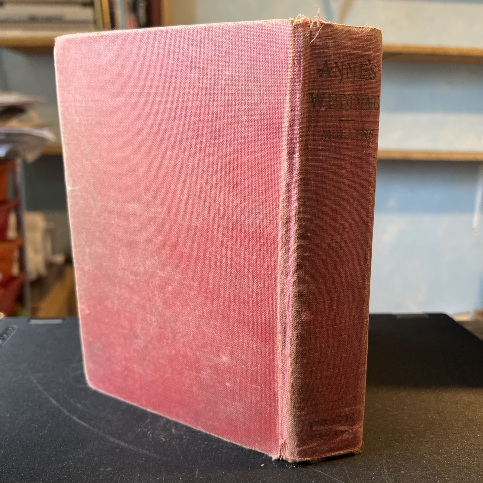 Anne&rsquo;s Wedding: A Blossom Shop Romance (First Edition) S4