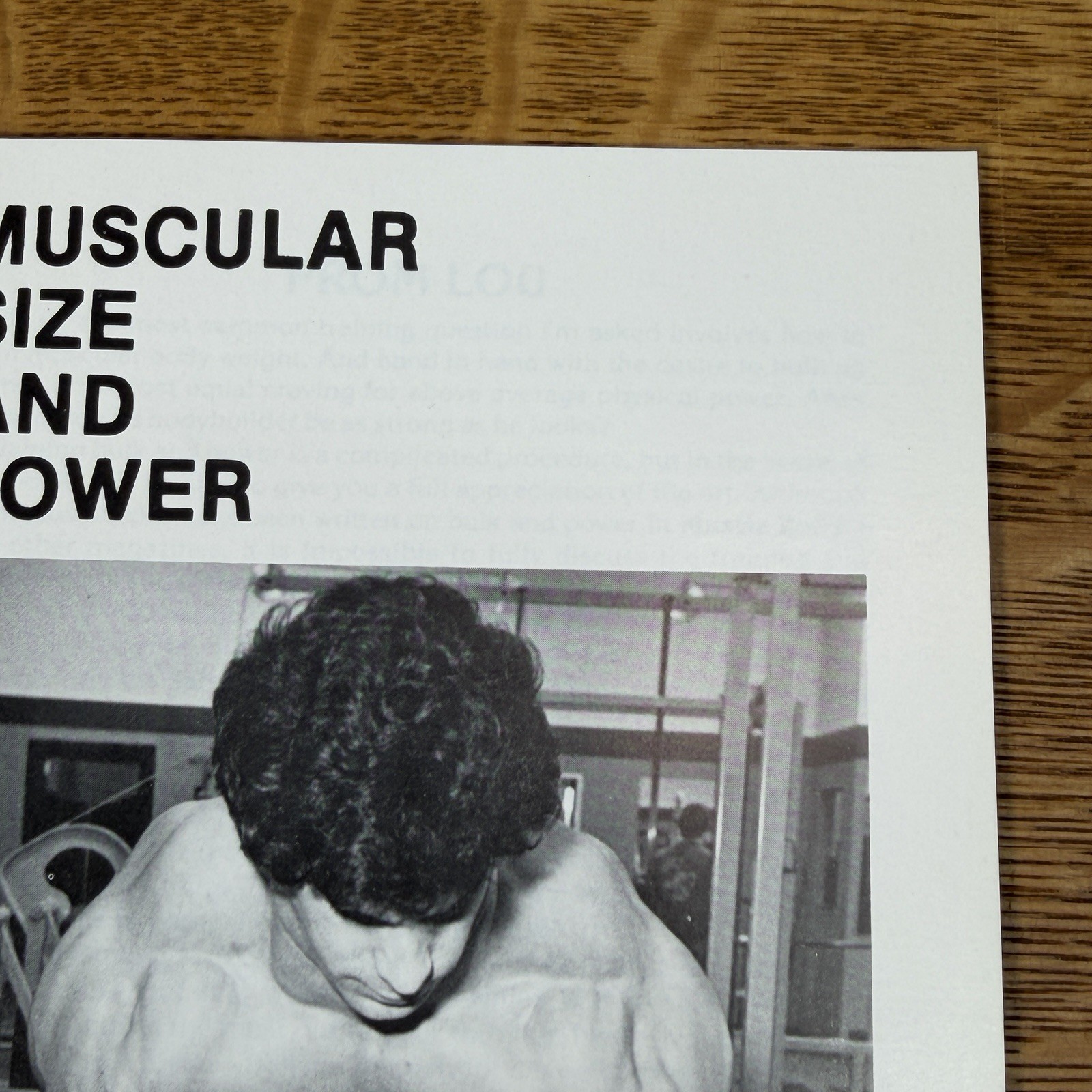 Super Rare Original Lou Ferrigno Muscular Size Power Bodybuilding Booklet Book