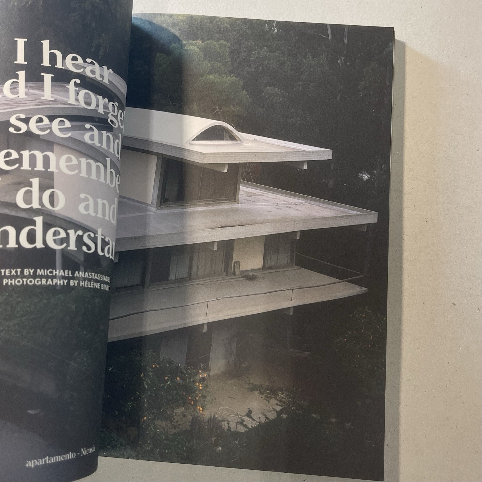 Apartamento Magazine Interior Design Issue 14 Featuring Raymond Pettibon Design