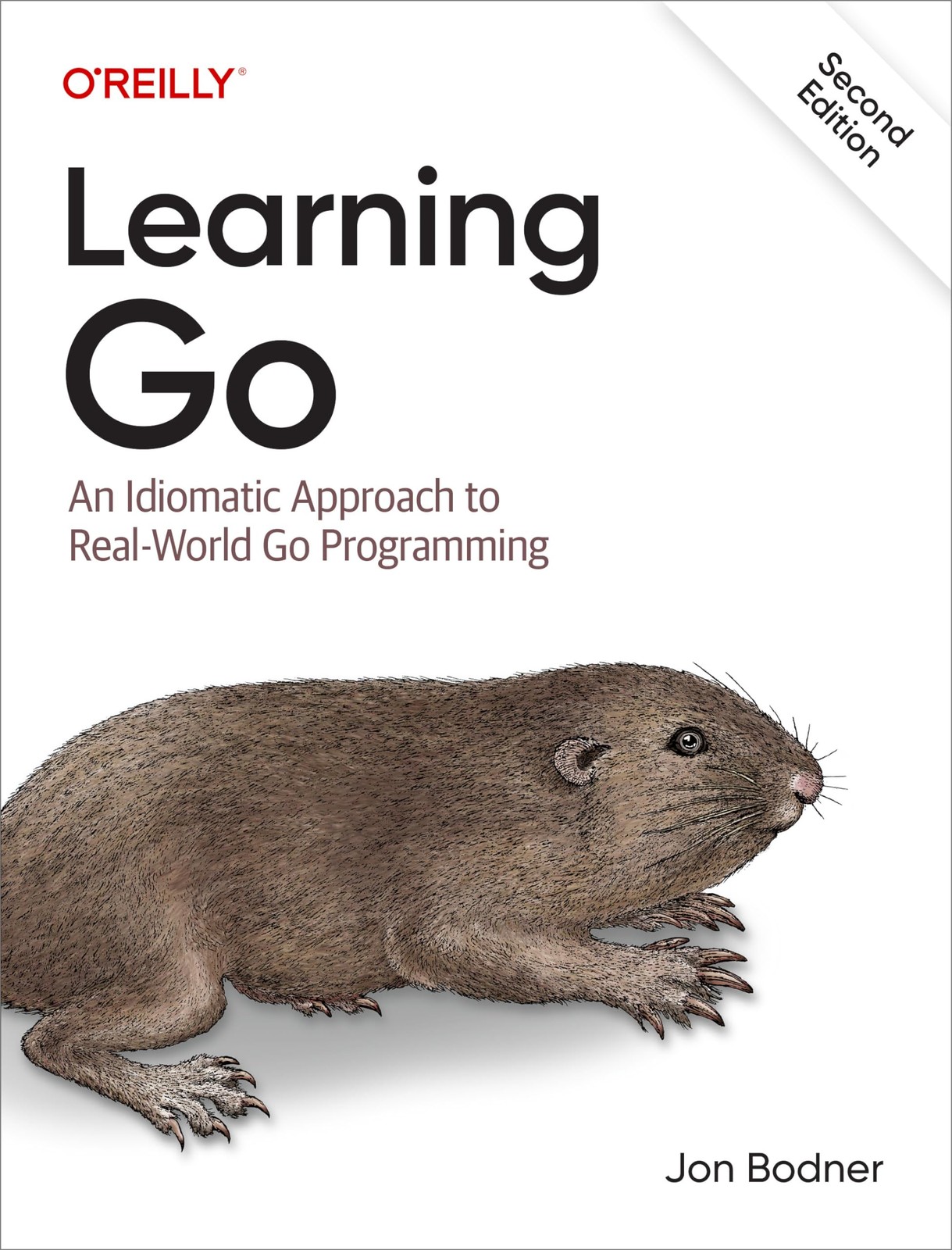 Learning Go: An Idiomatic Approach to Real-World Go Programming – paperback …