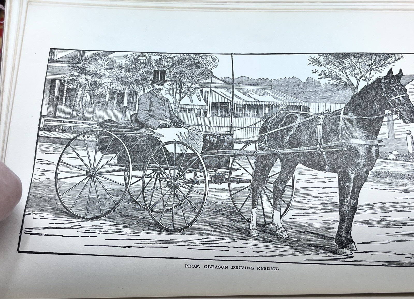 1918 HOW to HANDLE & EDUCATE VICIOUS HORSES-205 Pages-Oscar Gleason-Illustrated