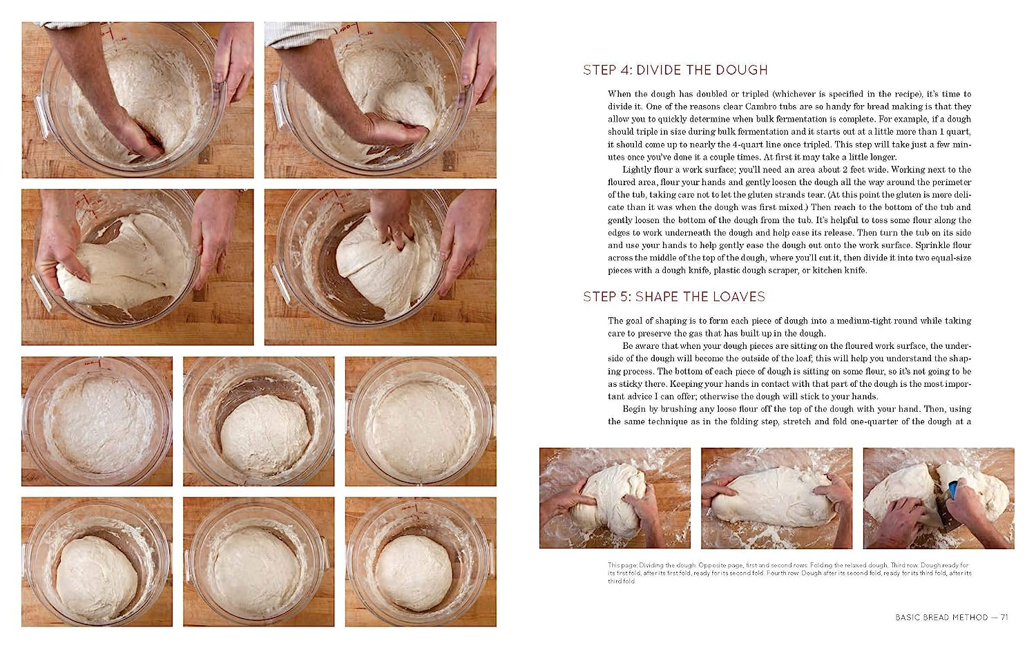 Flour Water Salt Yeast: the Fundamentals of Artisan Bread and Pizza [A Cookbook]