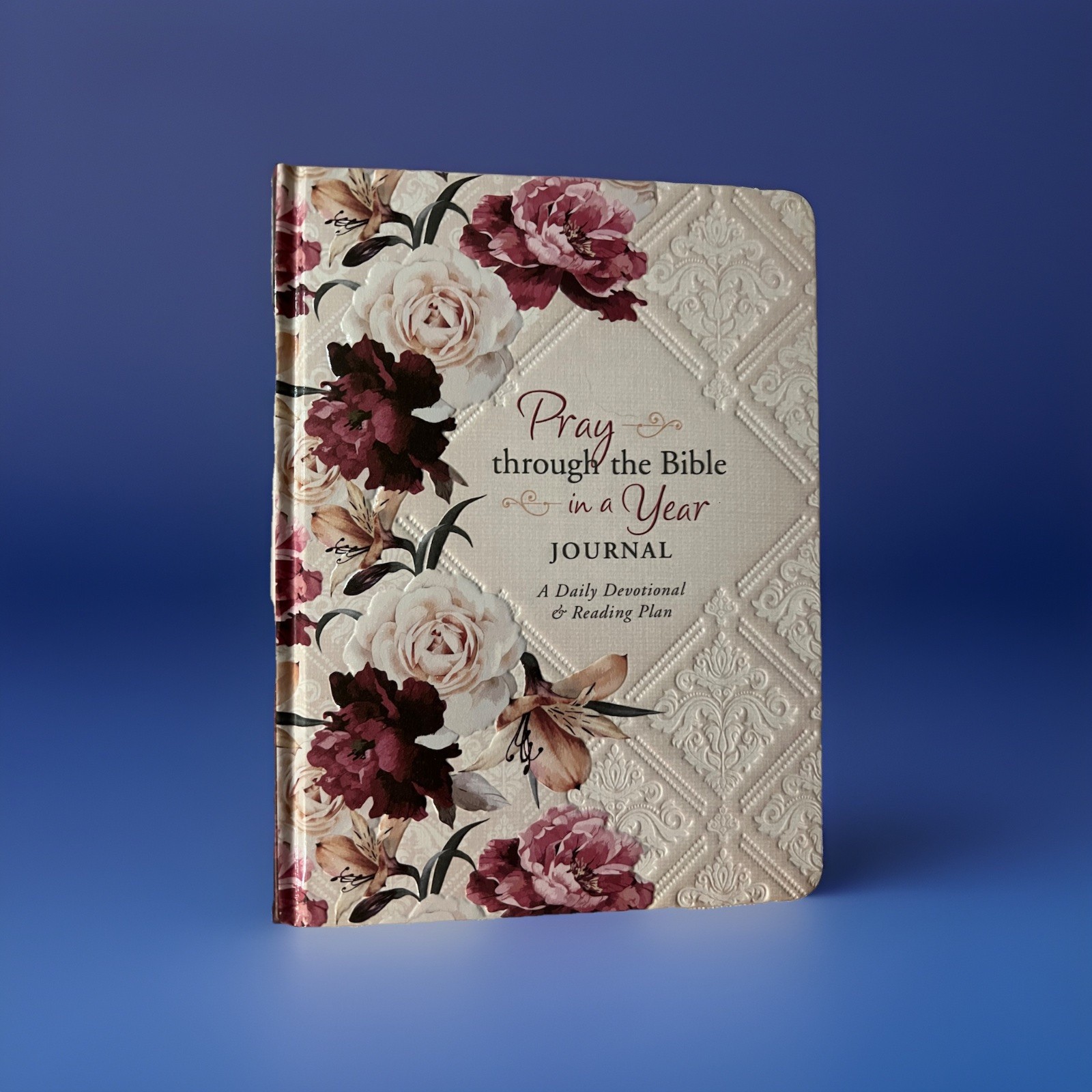 Pray Through the Bible in a Year Journal : A Daily Devotional and Reading Plan