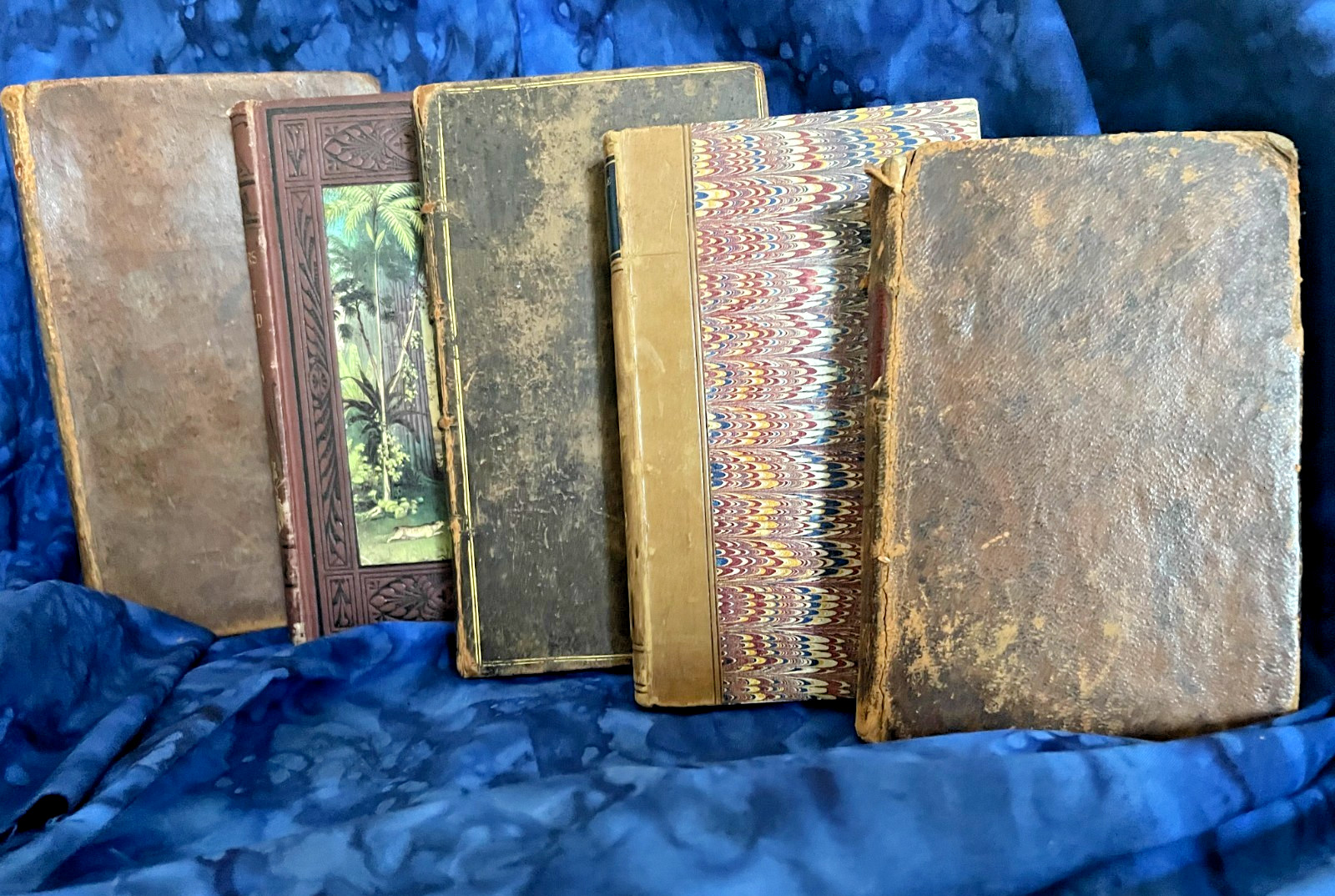 Tiny Antique Books; Miscellany, Plant World, Spectator, Columbian Orator #B46