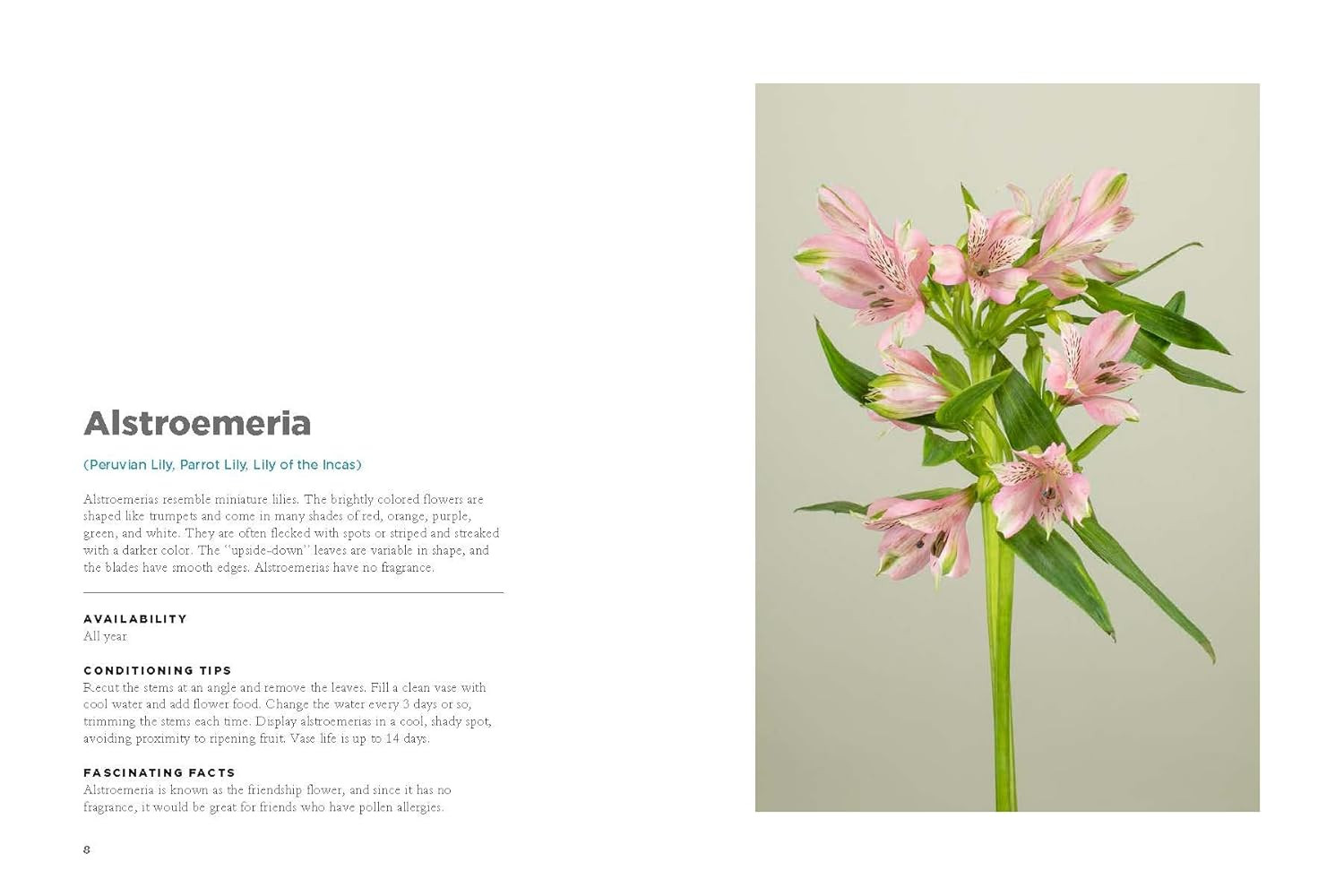 The Encyclopedia of Cut Flowers: What Flowers to Buy, When to Buy Them, and How