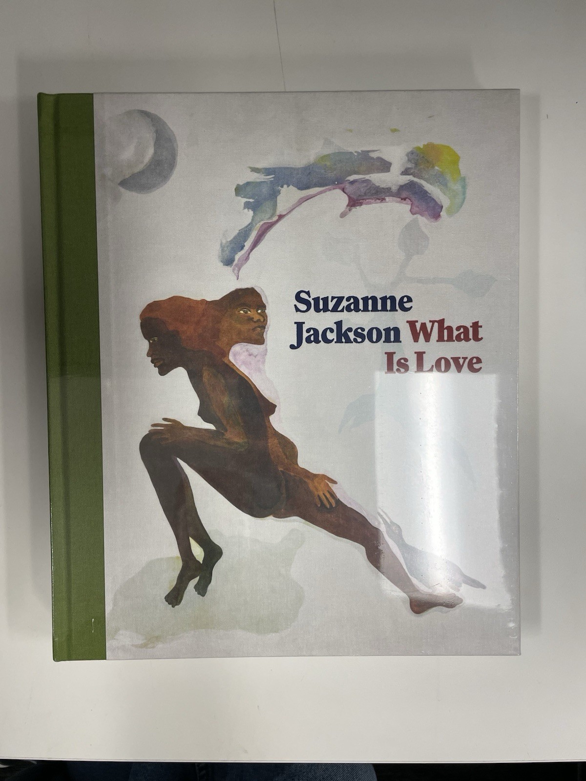 Suzanne Jackson What Is Love Book Brand New Un Opened Copy Mint Condition 2025