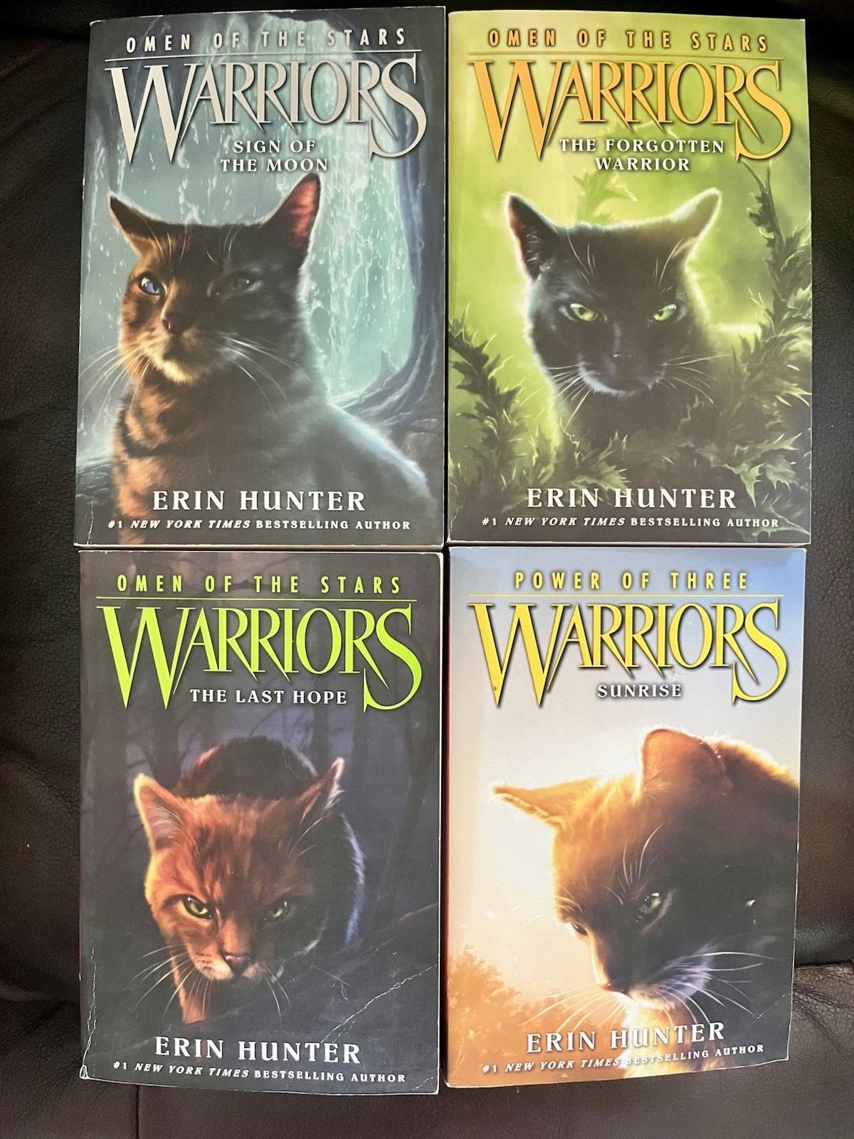 Warriors Series Mixed Titles 4 Book Lot Paperback Chapter Book Lot Erin Hunter