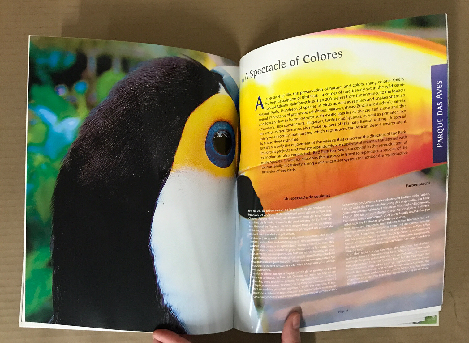 Cataratas do Iguaçu Brasil – POSTCARDS within a softcover book -ENG / FRE / DEU