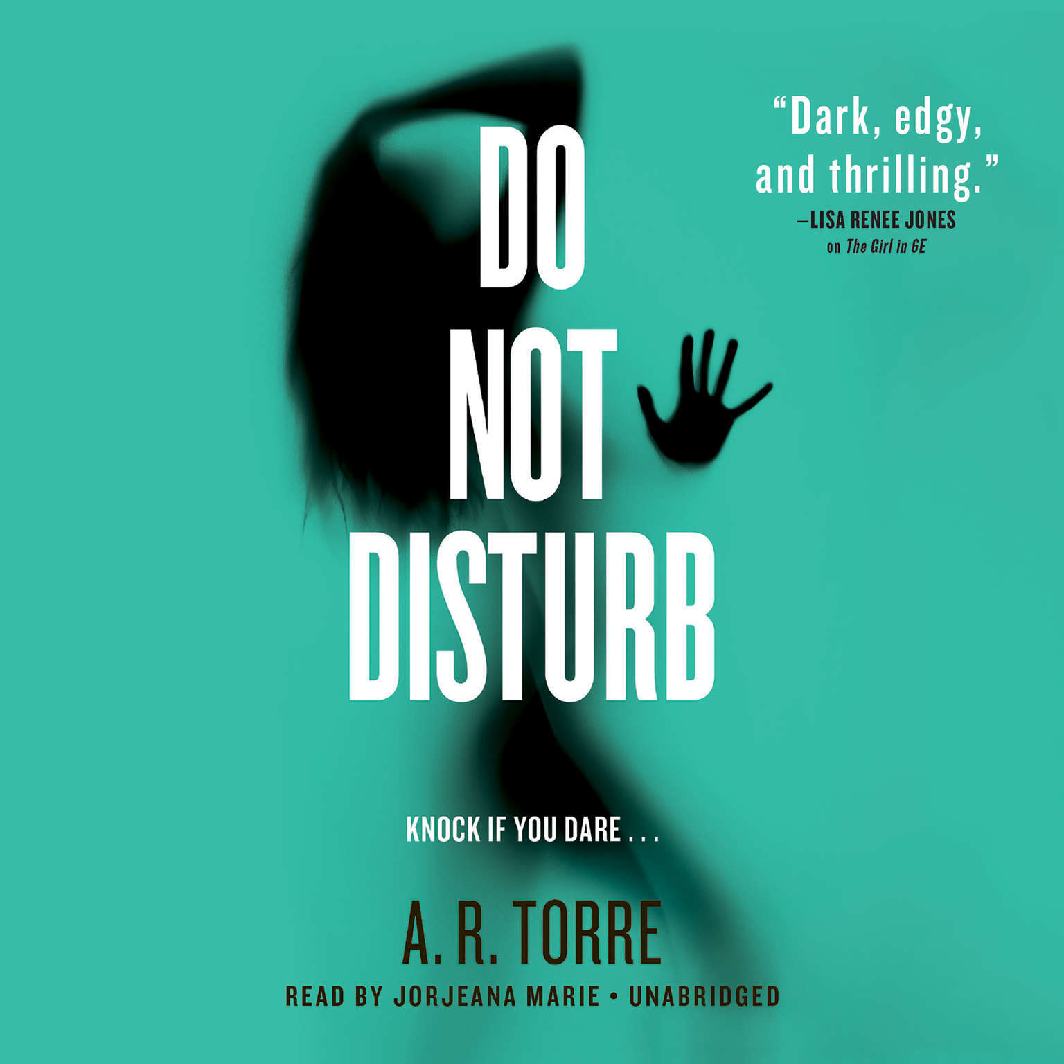 Do Not Disturb by A. R. Torre 2015 Unabridged CD 9781478986614