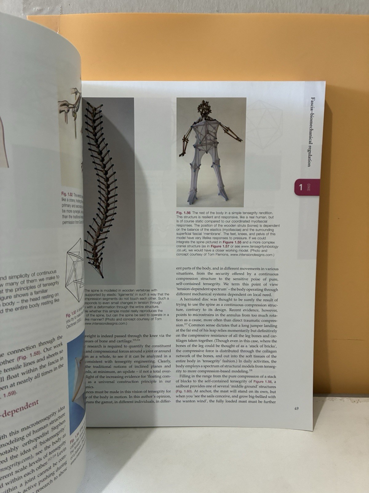 Anatomy Trains: Myofascial Meridians for Manual and Movement Therapists by Myers