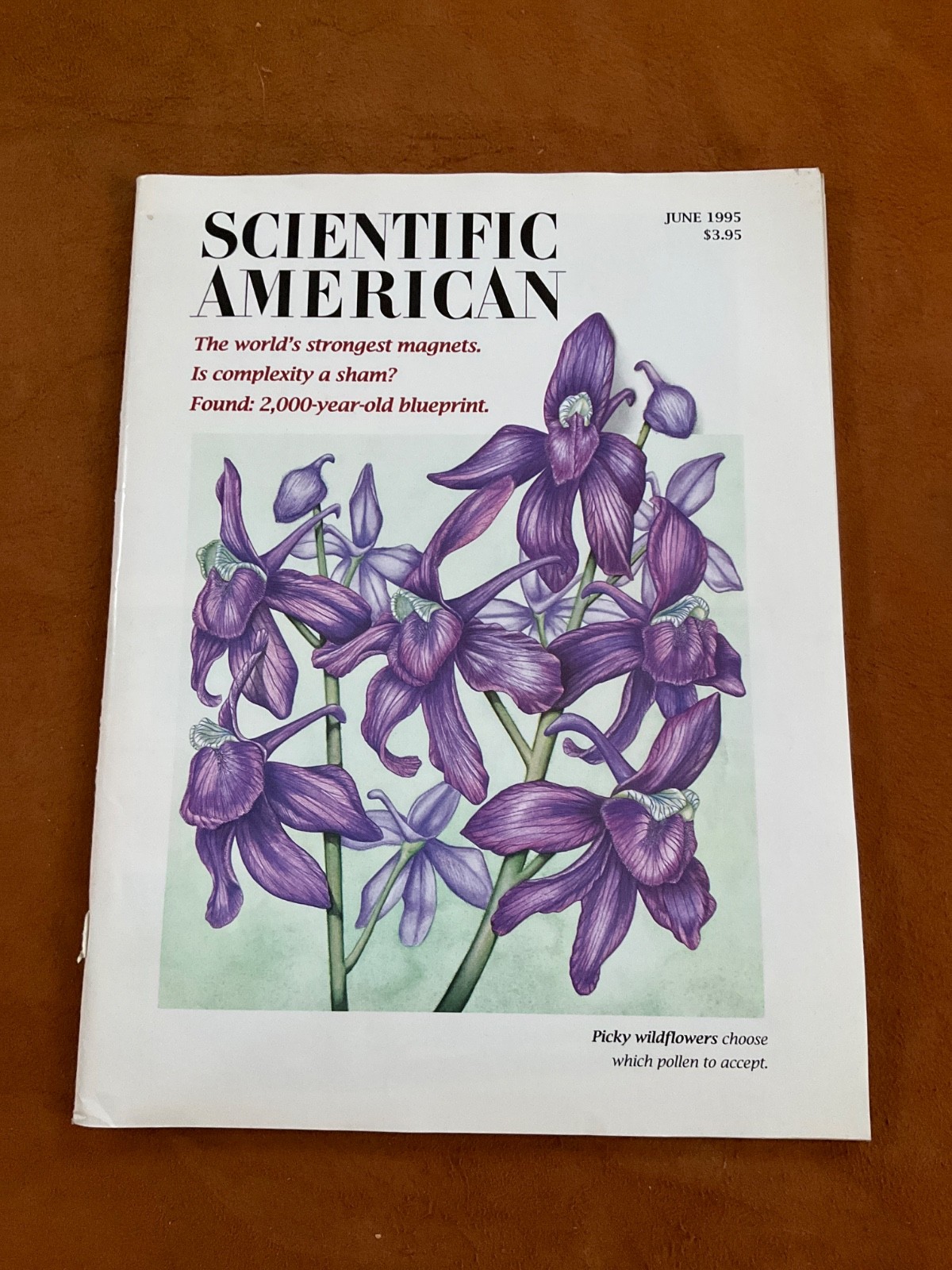 Scientific American Magazine June 1995