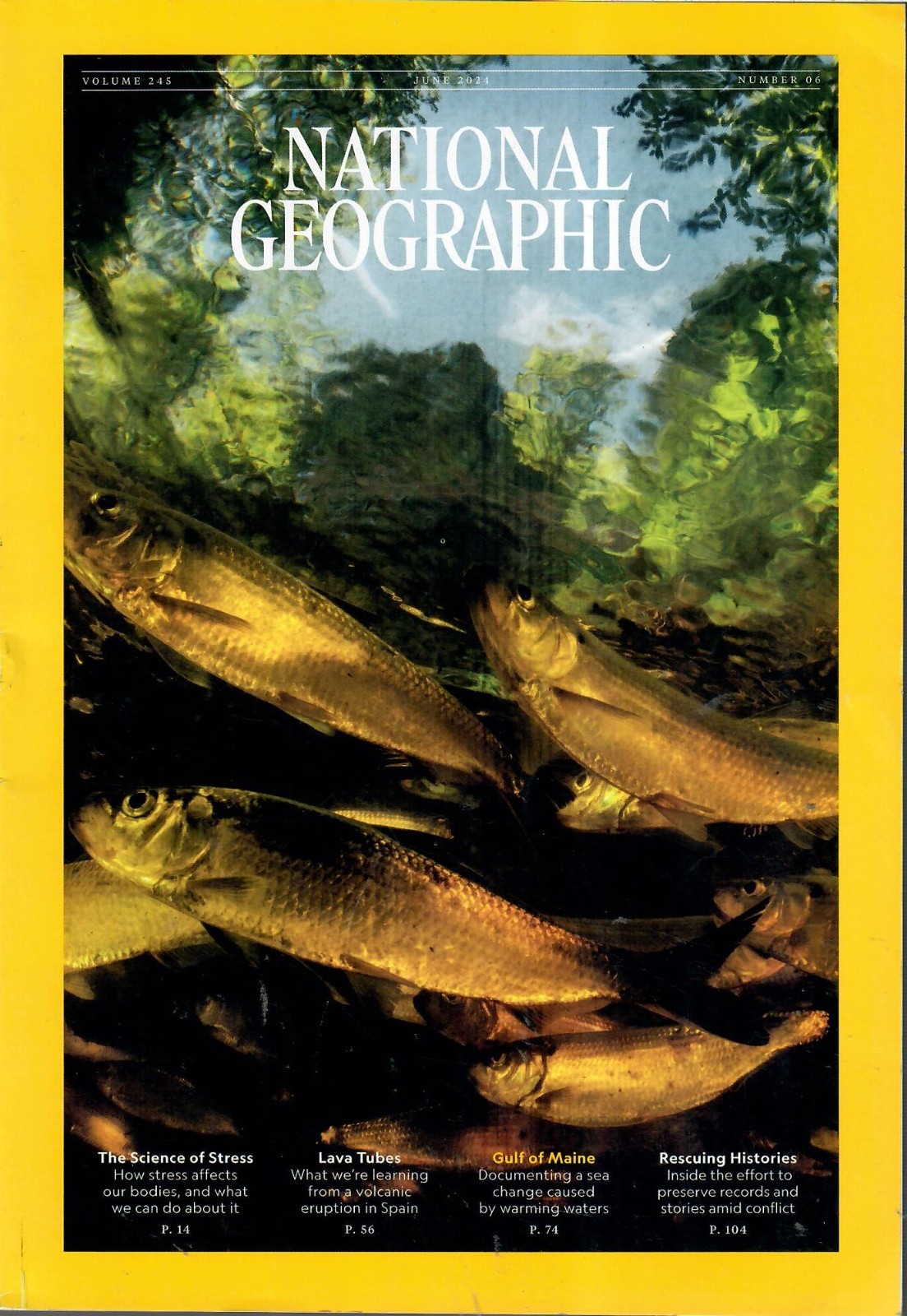 PURCHASE 4 NATIONAL GEOGRAPHIC MAGAZINES for $2.99 each. See Description.
