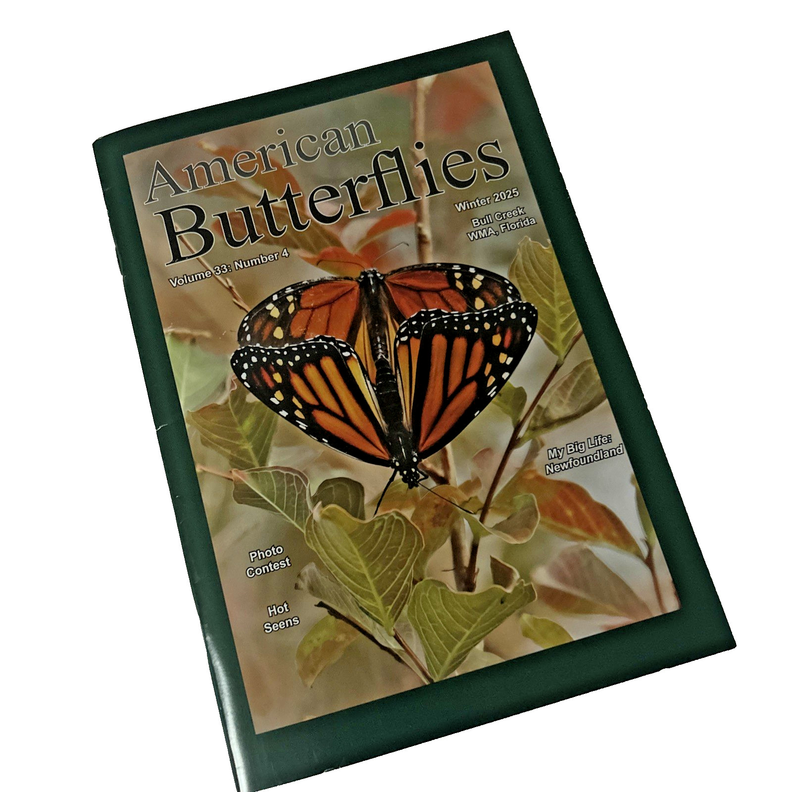 American Butterflies Mag Vol 33 #4 Winter 2025-Bul Creek-Florida-Newfoundland
