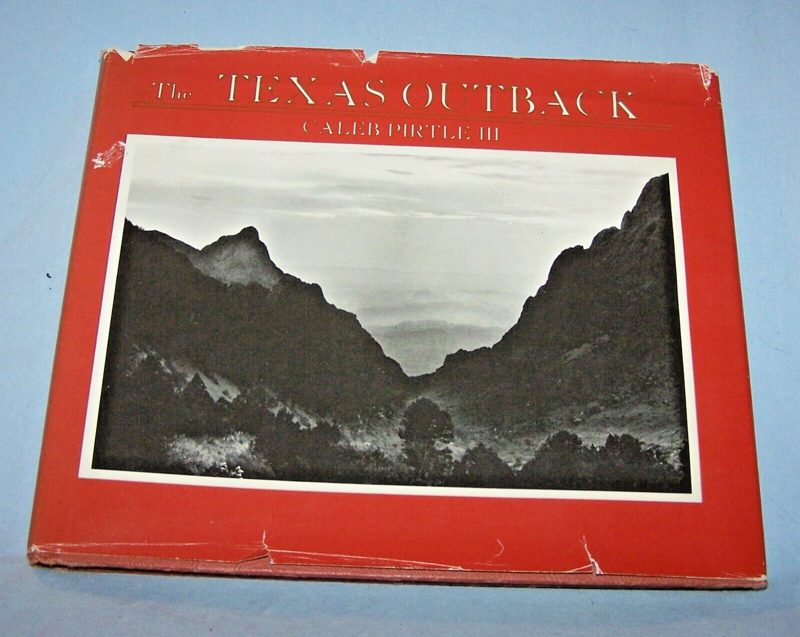 The Texas Outback-Wildly Weird Country HB w dj-1986-Caleb Pirtle III-162 pages
