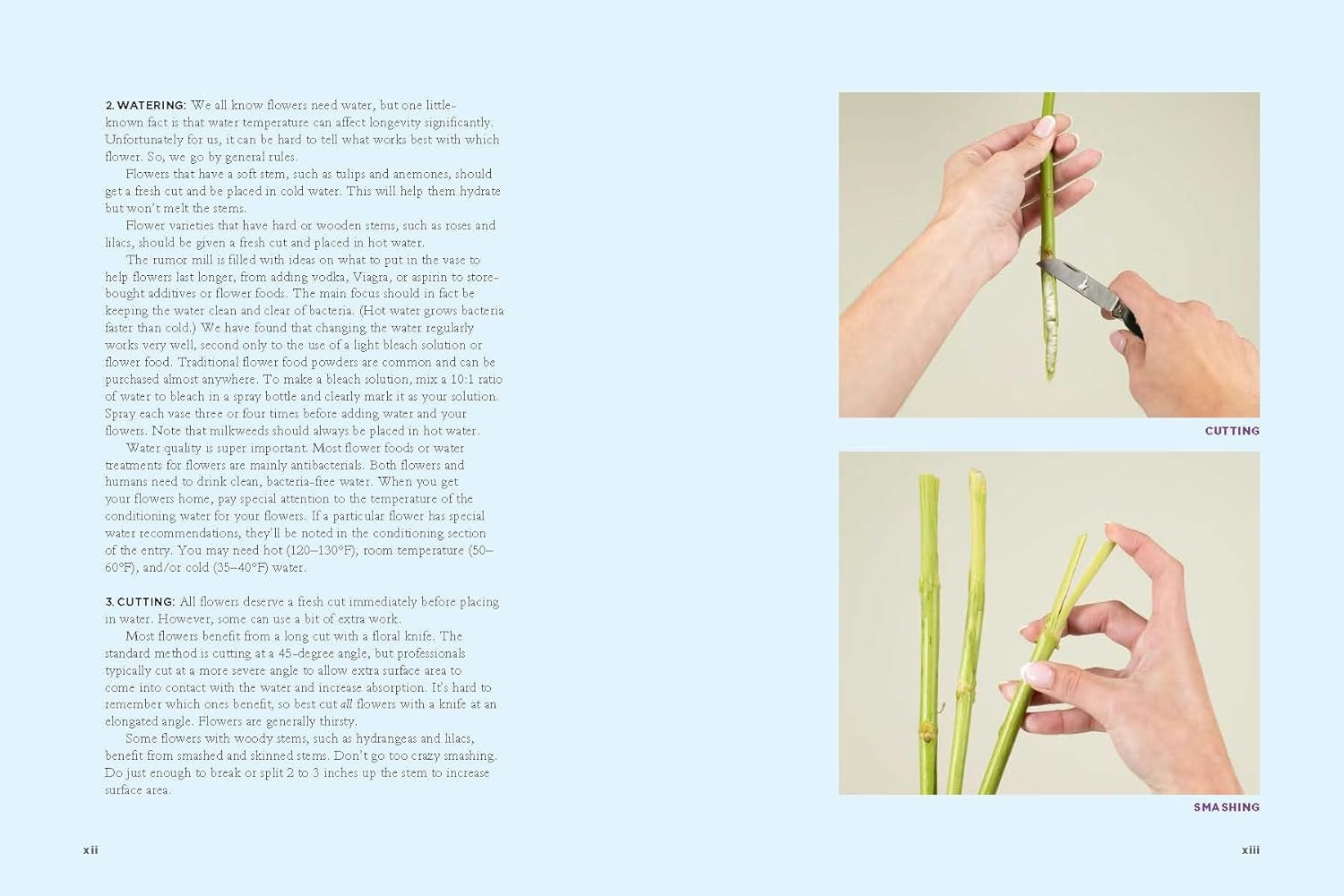 The Encyclopedia of Cut Flowers: What Flowers to Buy, When to Buy Them, and How