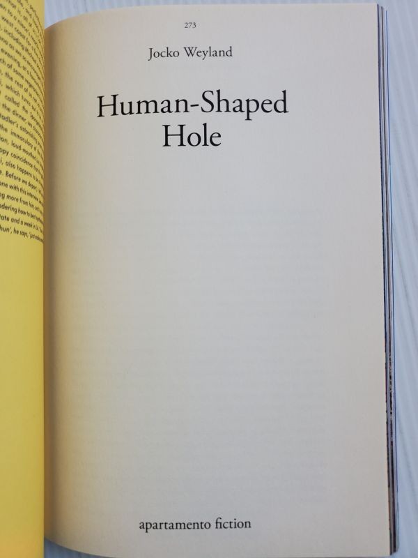 Apartamento magazine #20 Lawrence Weiner Kyoichi Tsuzuki TOKYO STYLE Gay Talese