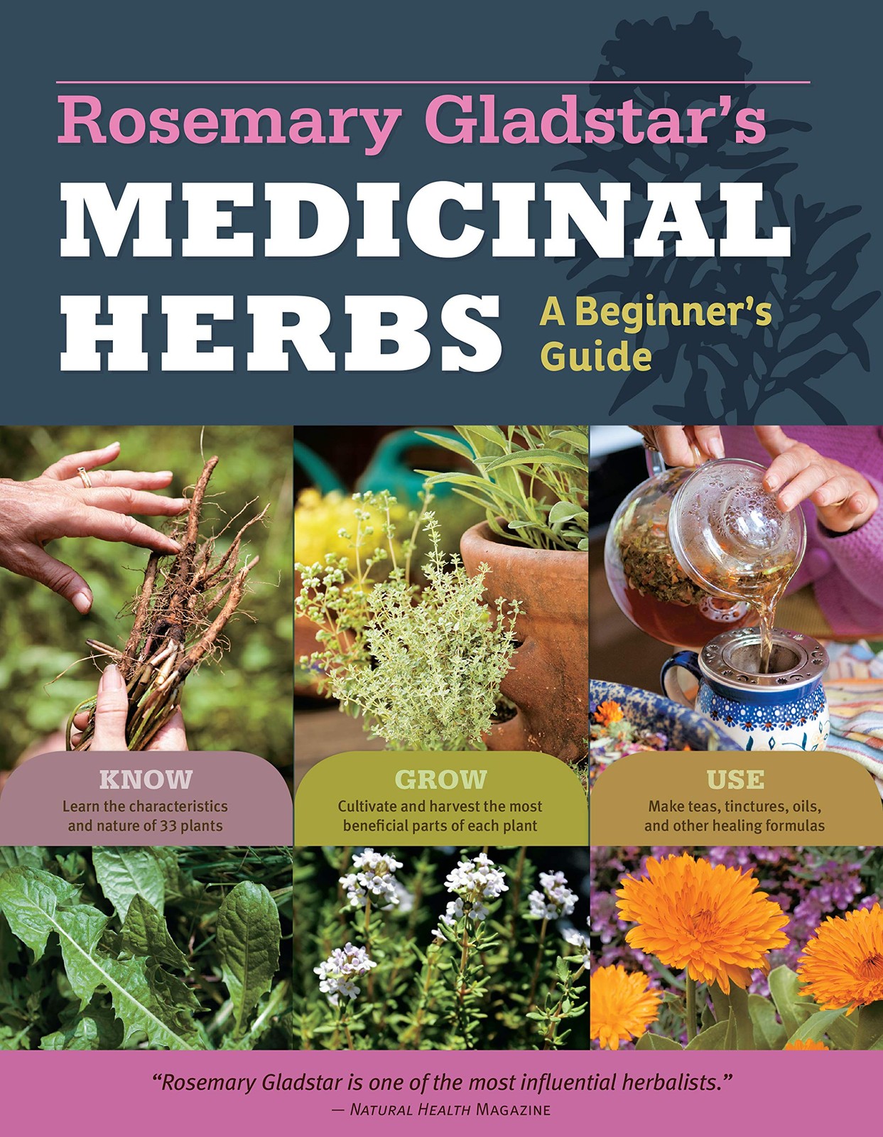 Rosemary Gladstar&rsquo;s Medicinal Herbs: A Beginner&rsquo;s Guide: 33 Healing Herbs to …