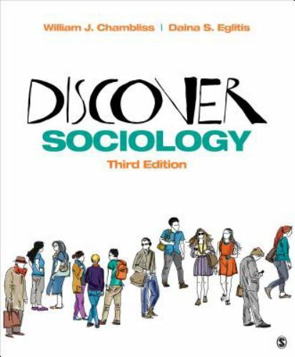 Discover Sociology 9781506347387