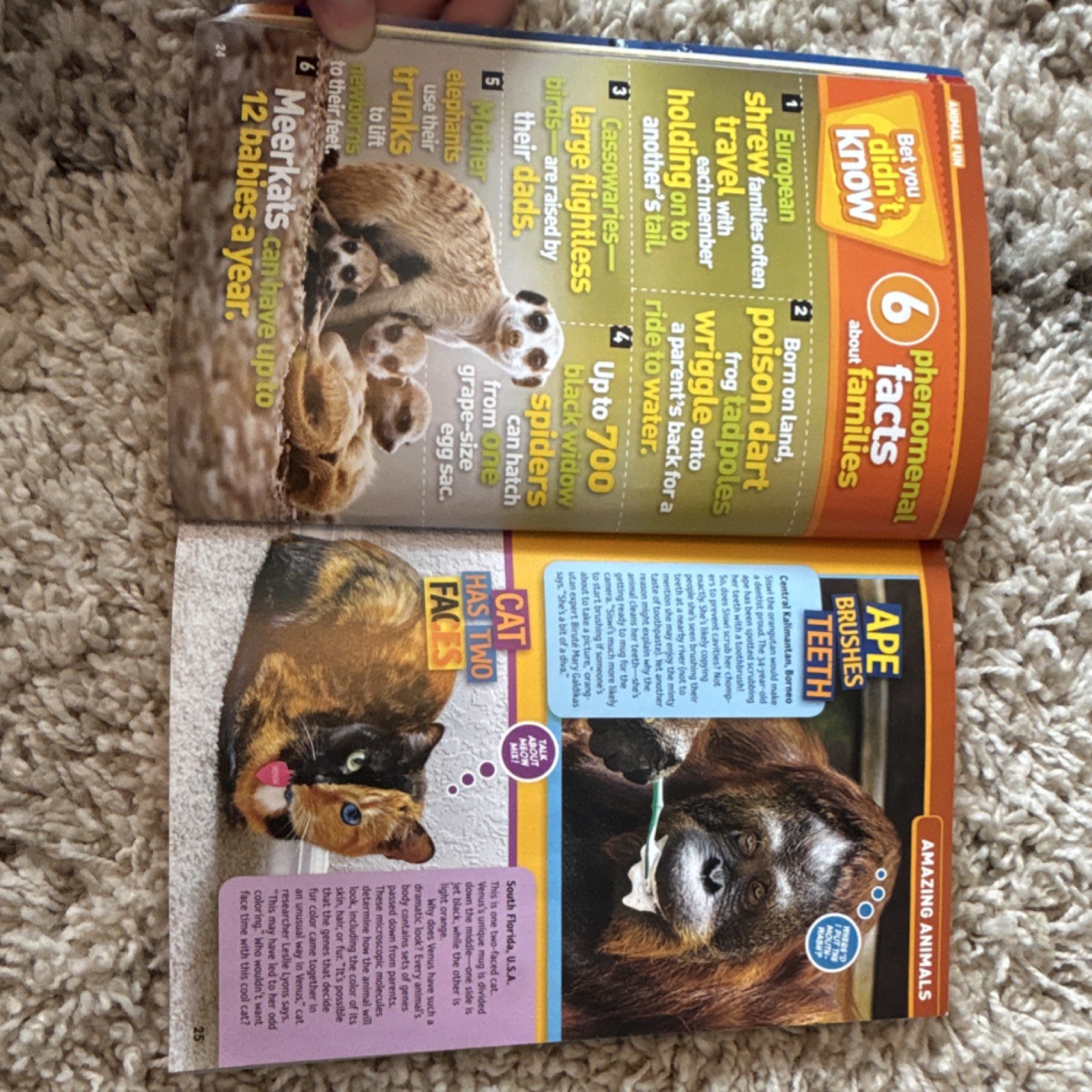 National Geographic Kids Almanac 2015 Illustrated Trade Paperback 352 Pages 2014