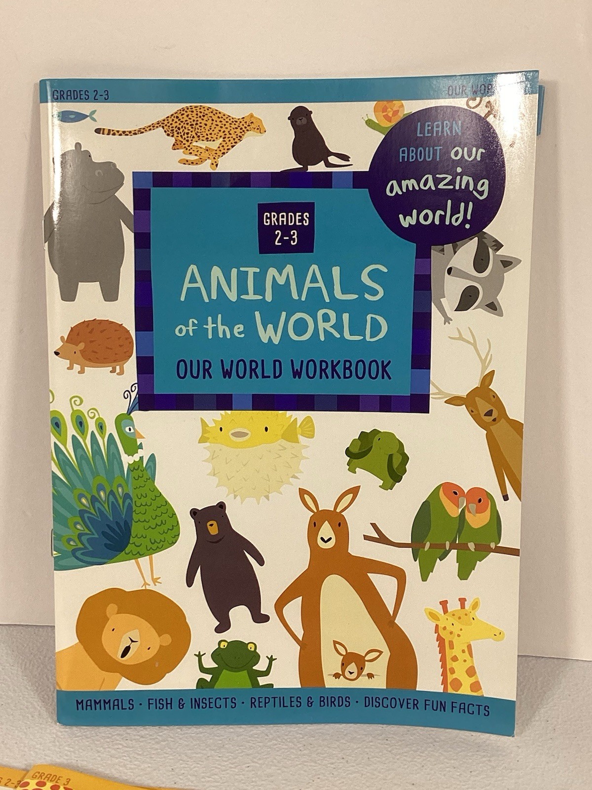 Our Amazing World & Math Learning Workbooks 32 Pages Grades 2-3 Lot Educational
