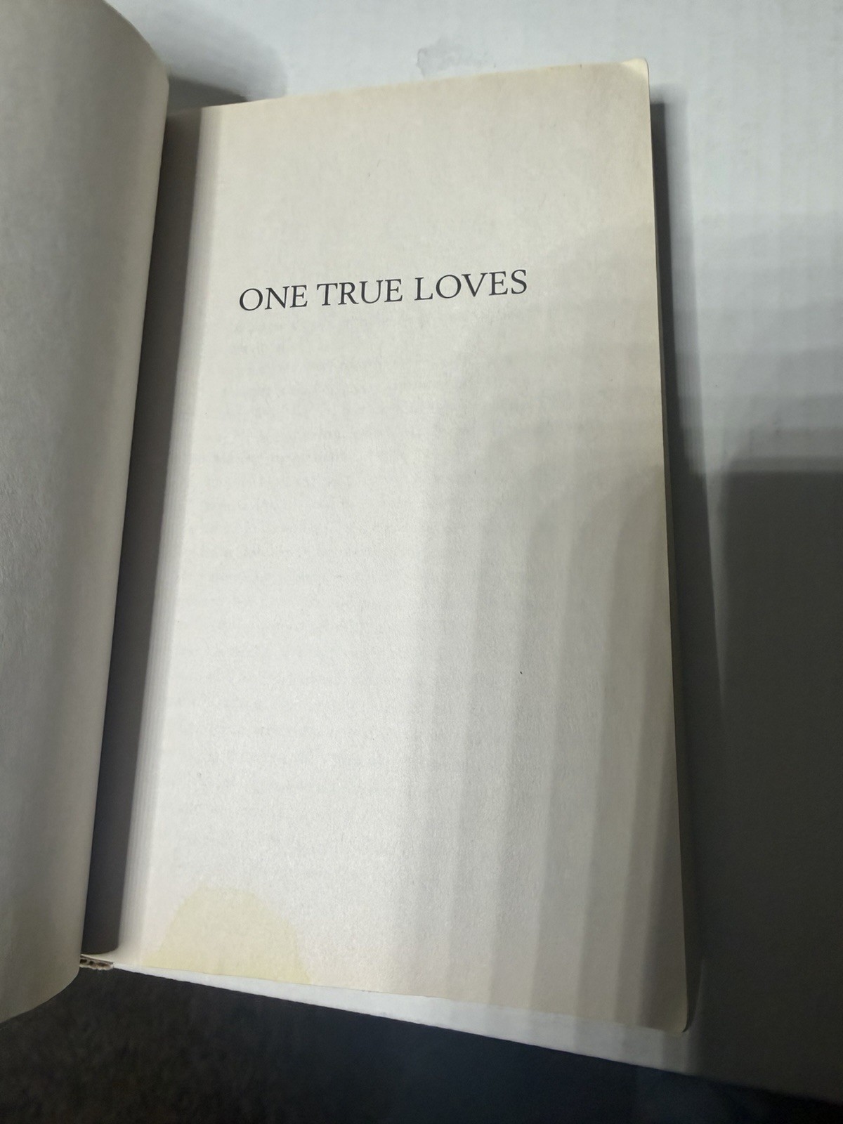 One True Loves : A Novel by Taylor Jenkins Reid (2016, Trade Paperback)